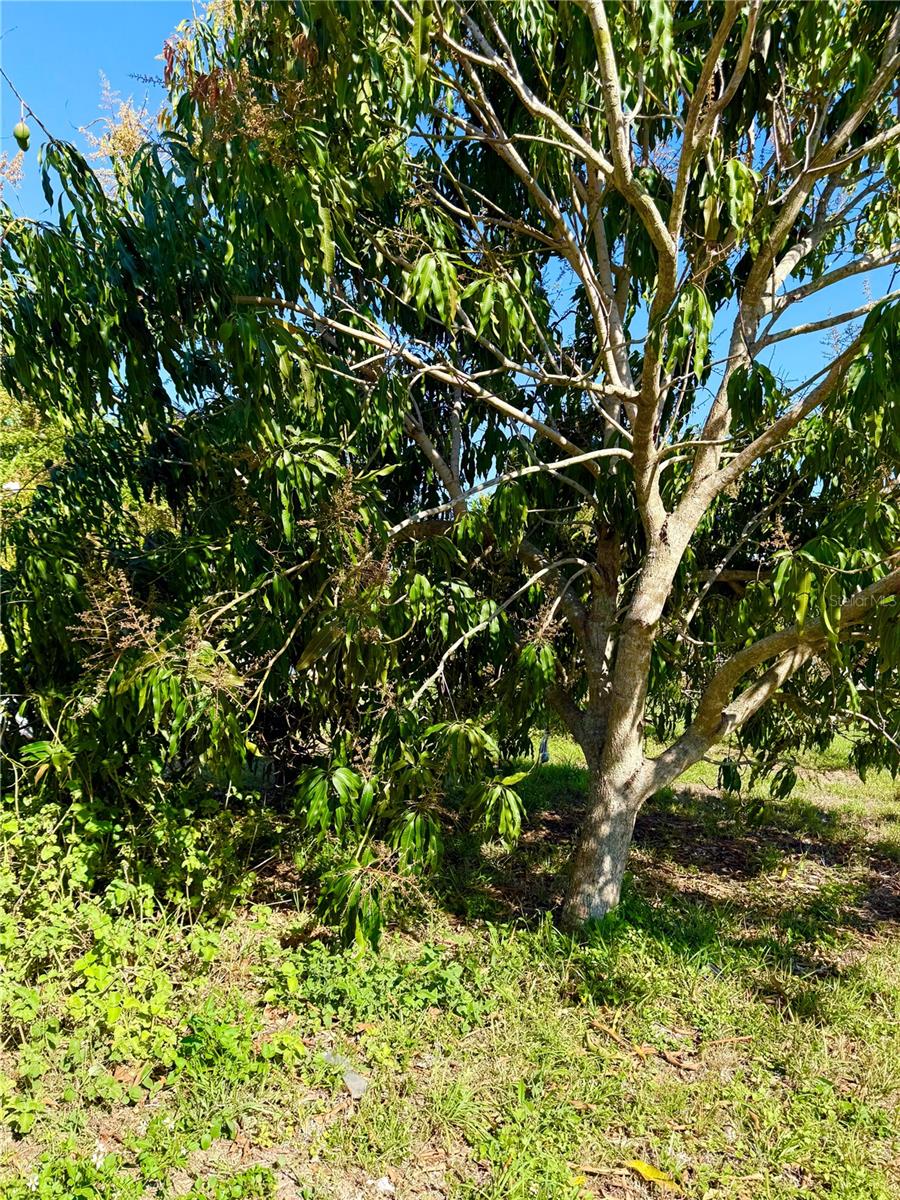 Image 9 of 10 For 783 Spring Lake Boulevard Nw