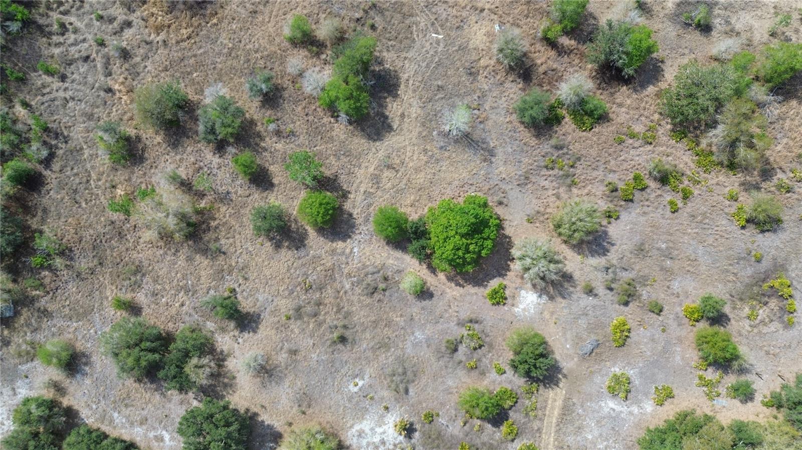 Image 3 of 26 For 1775 Cross Avenue