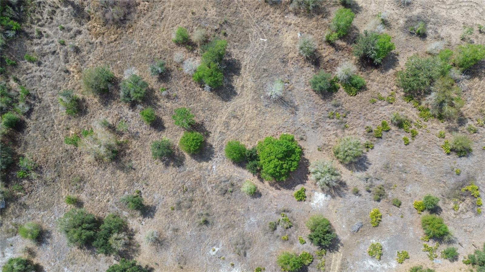 Image 4 of 26 For 1775 Cross Avenue