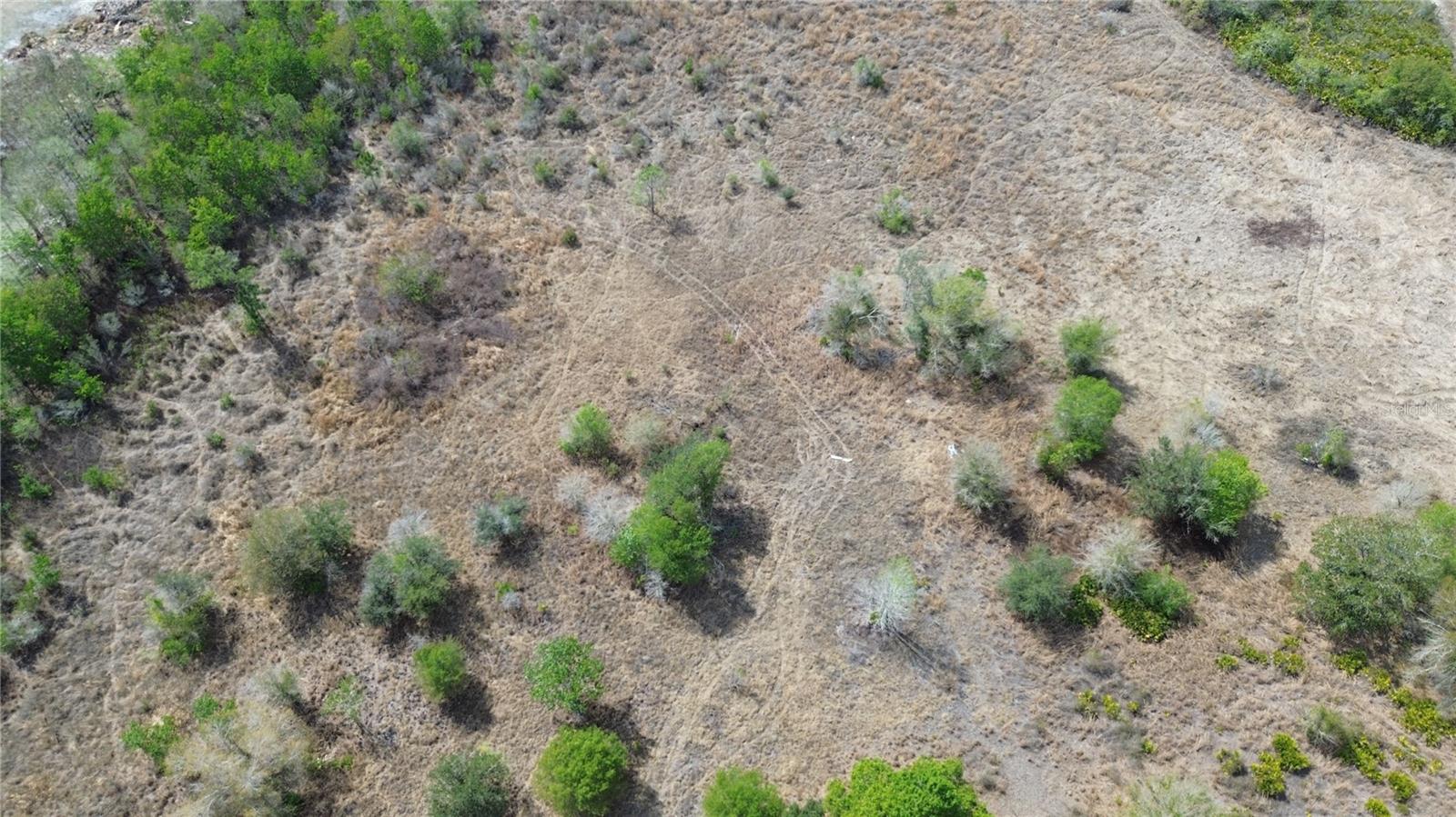 Image 6 of 26 For 1775 Cross Avenue