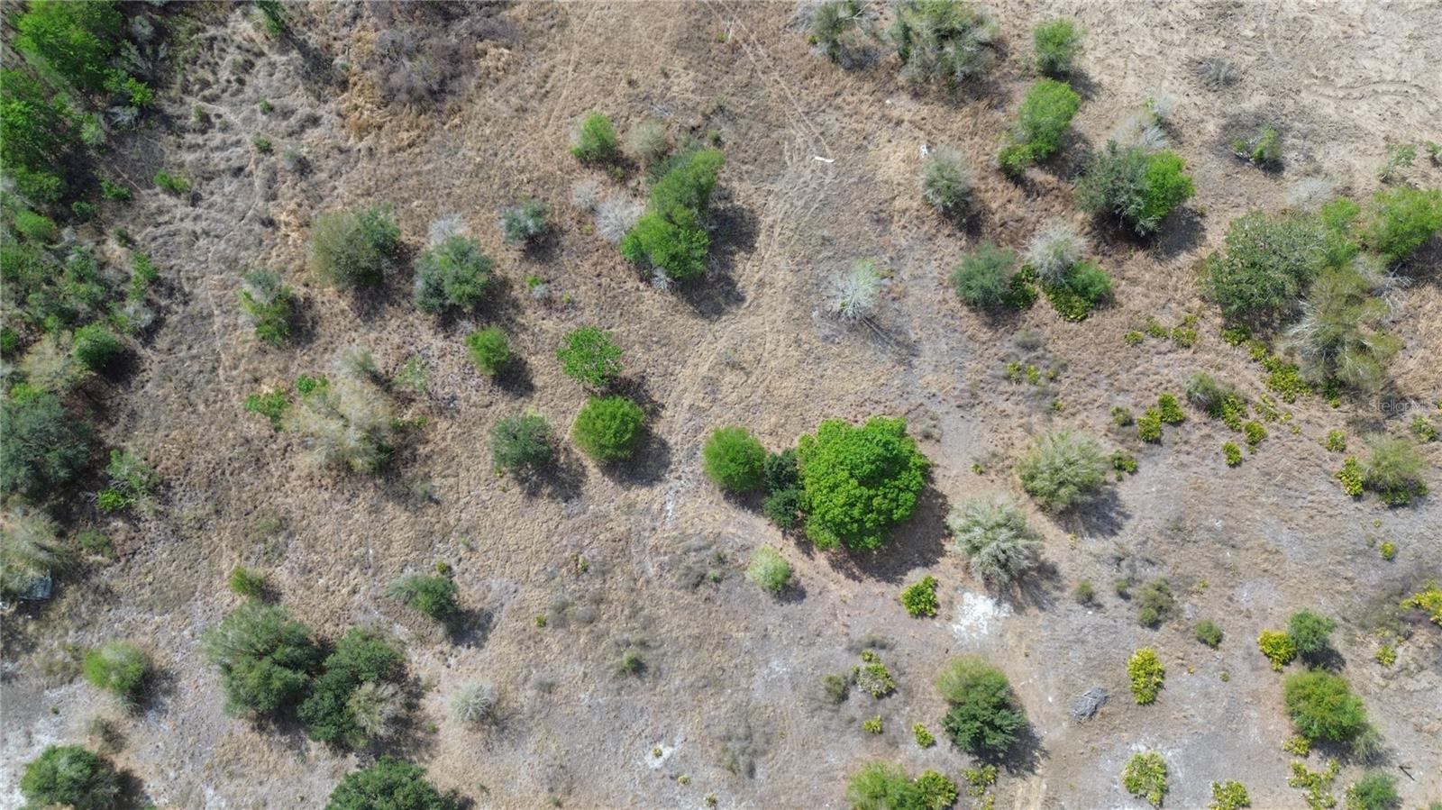 Image 9 of 26 For 1775 Cross Avenue