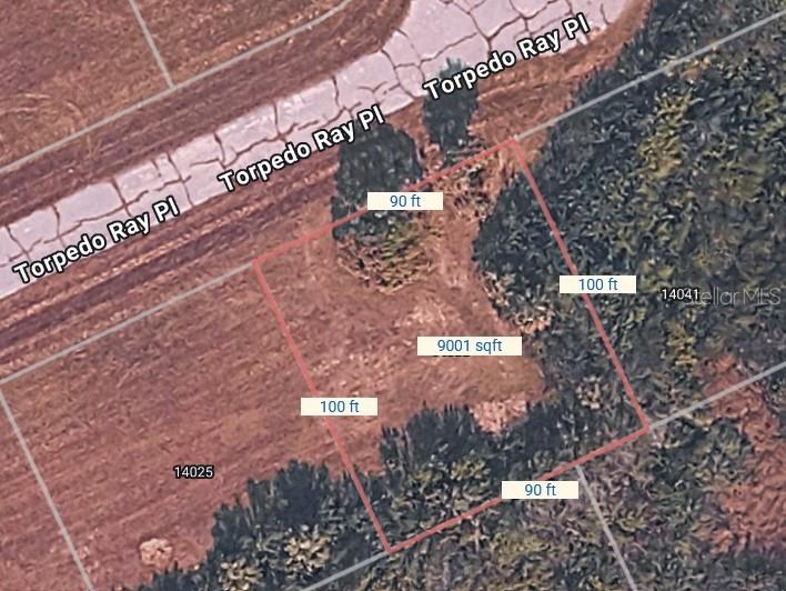 Image 2 of 7 For 14033 Torpedo-ray Place