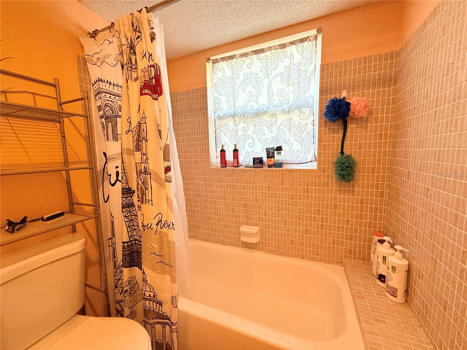 Image 17 of 28 For 1629 Birchcrest Boulevard