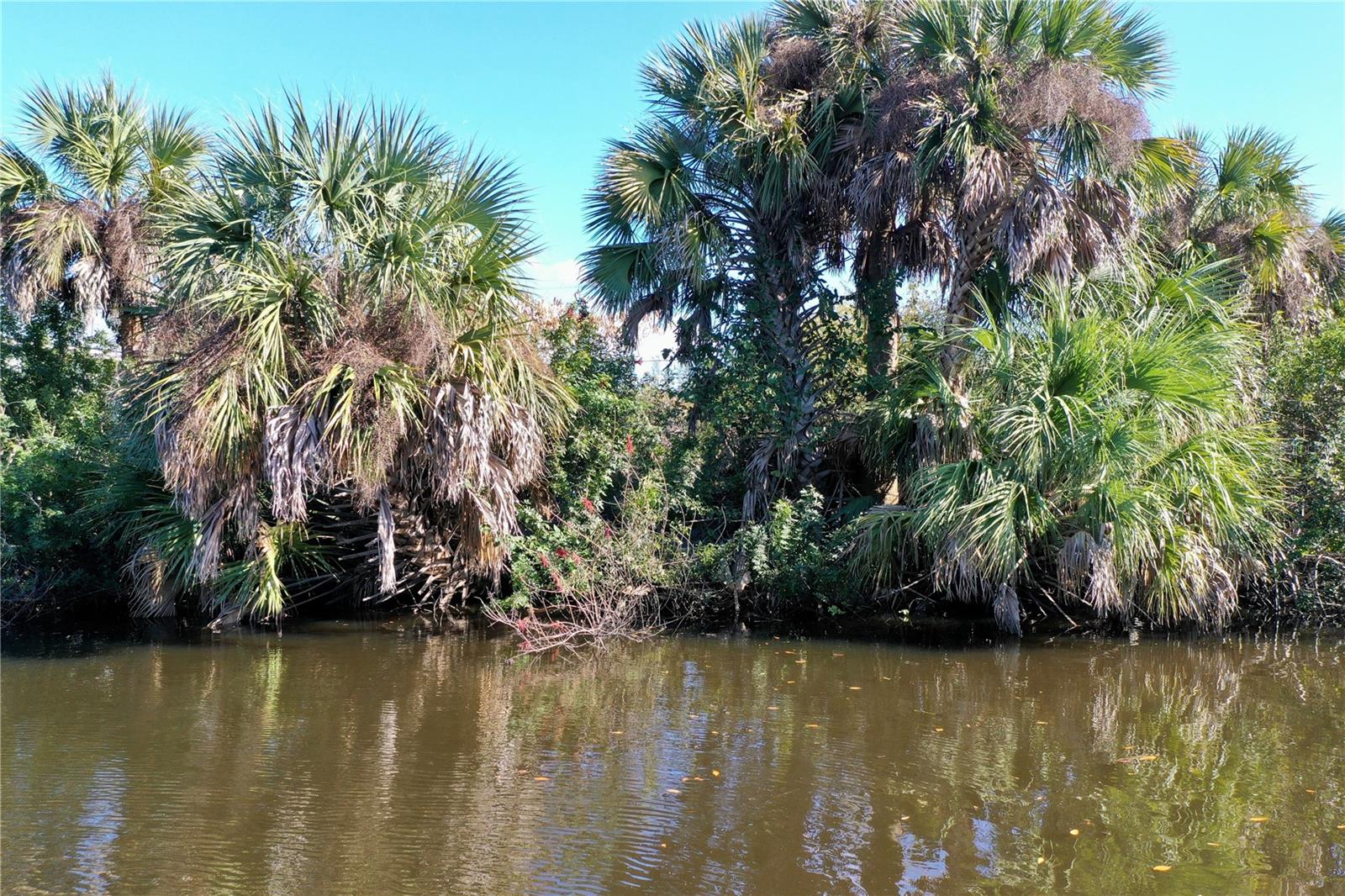 Image 18 of 25 For 2803 Riverside Drive