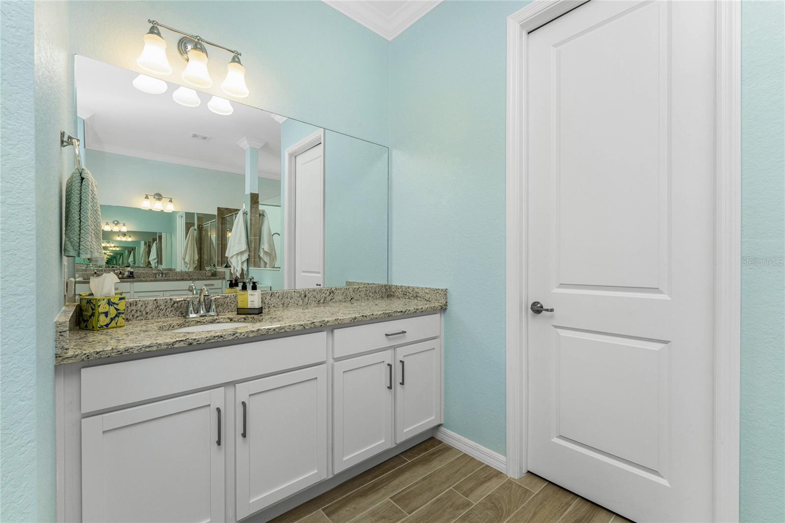 Image 17 of 56 For 25223 Keygrass Court