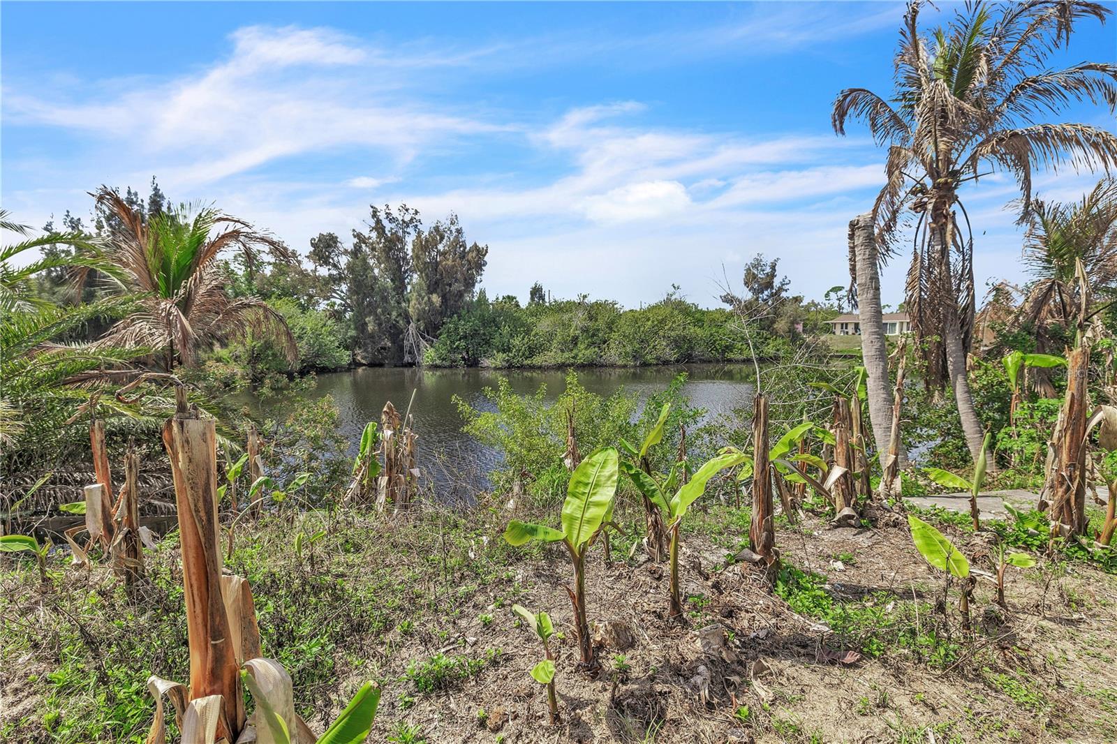 Image 42 of 47 For 440 Monza Avenue