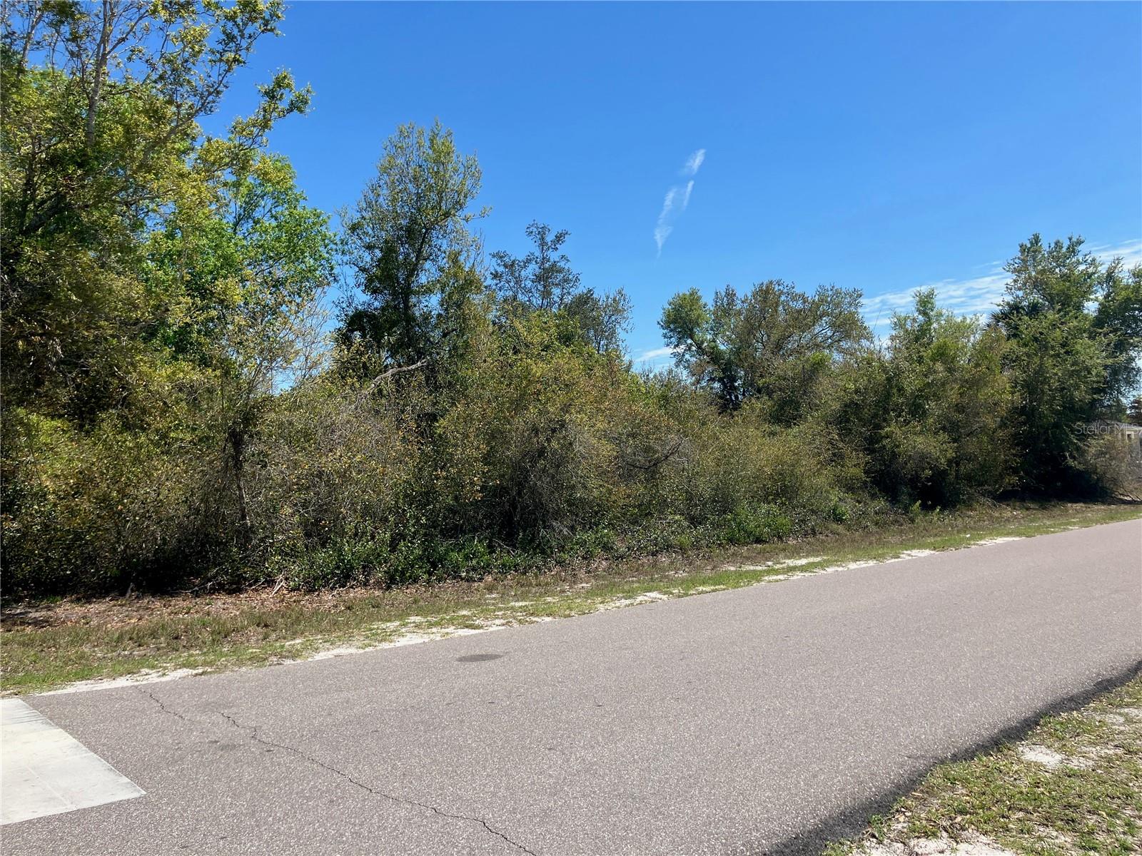 Image 10 of 15 For 273 Omen Street