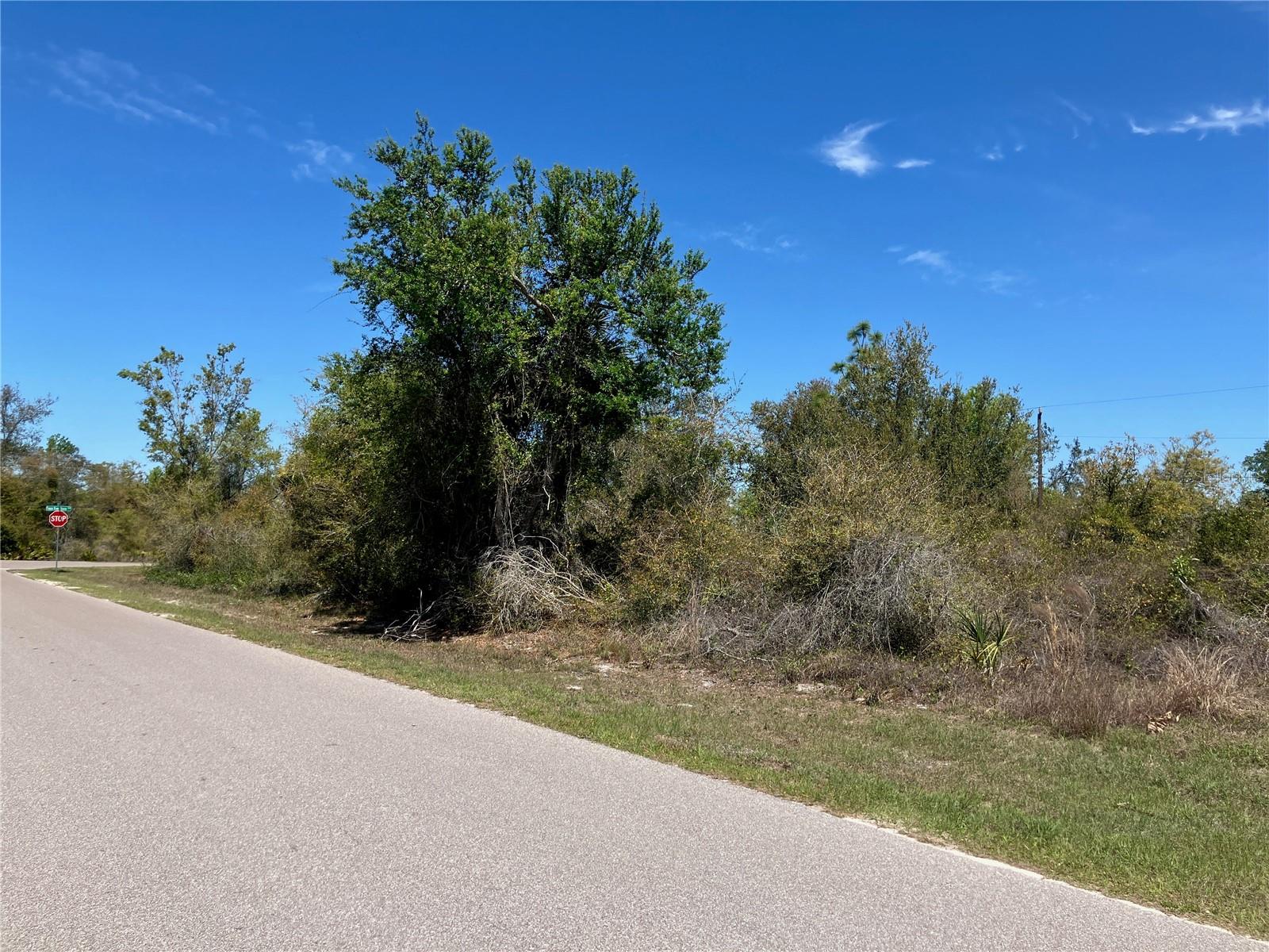 Image 13 of 15 For 273 Omen Street