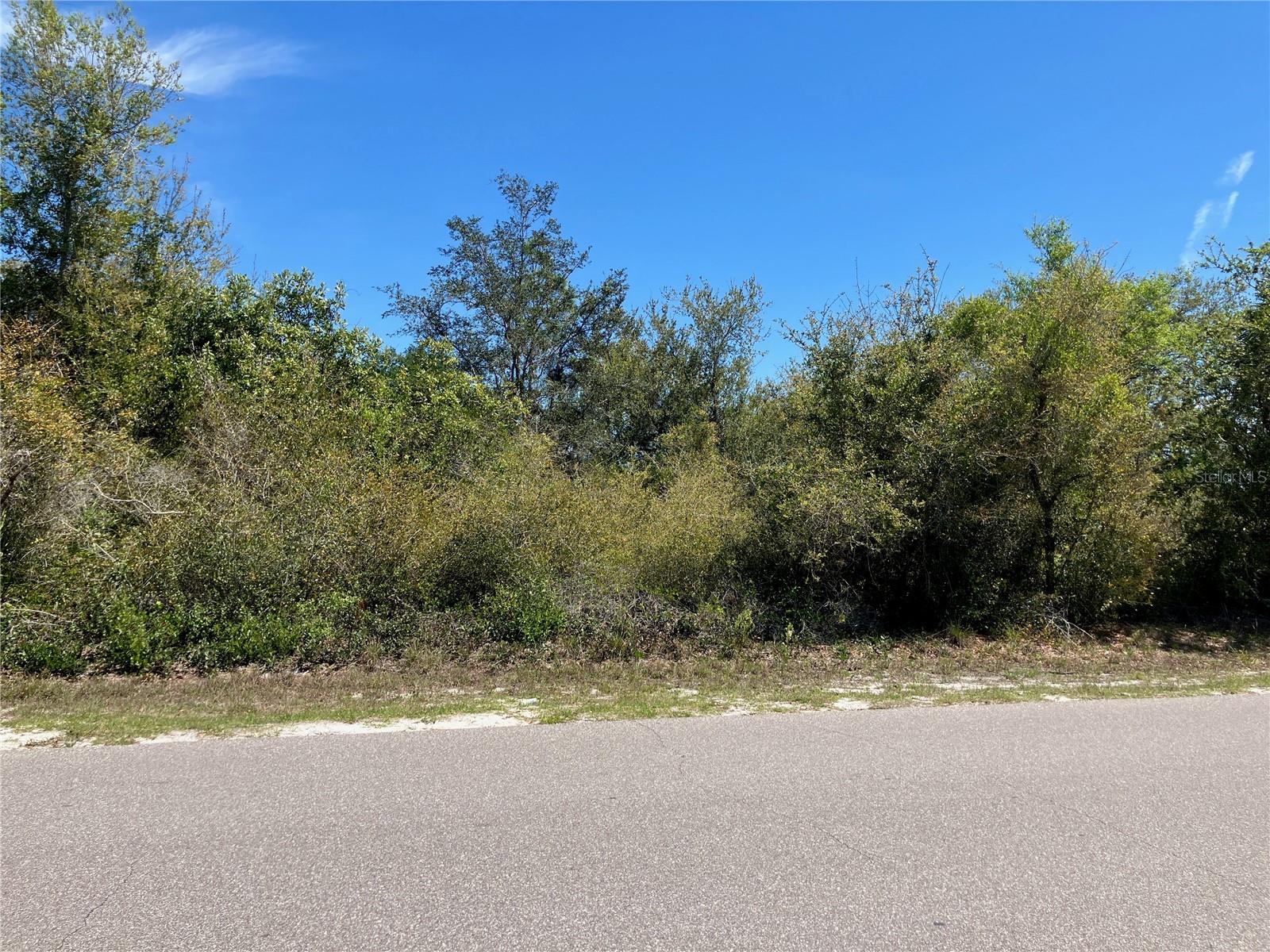 Image 2 of 15 For 273 Omen Street