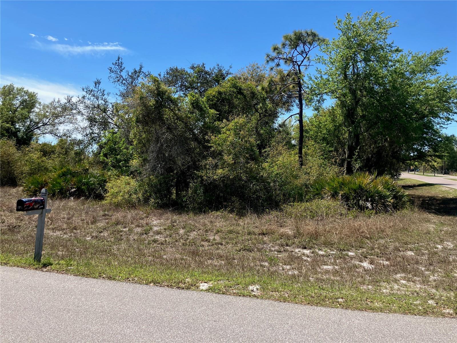 Image 3 of 15 For 273 Omen Street