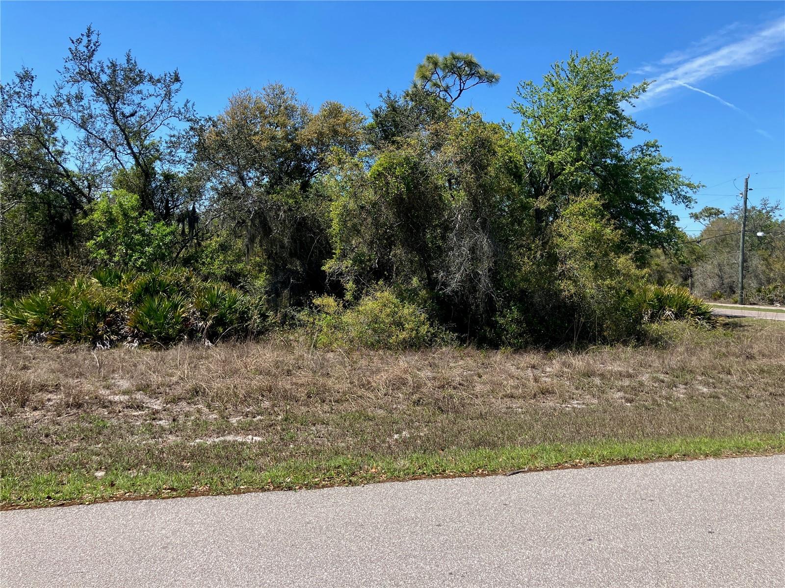 Image 7 of 15 For 273 Omen Street