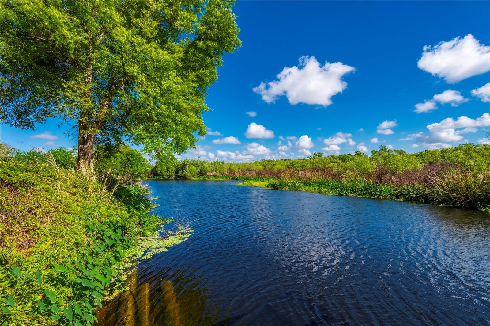 Image 3 of 63 For 32600 Serene Drive