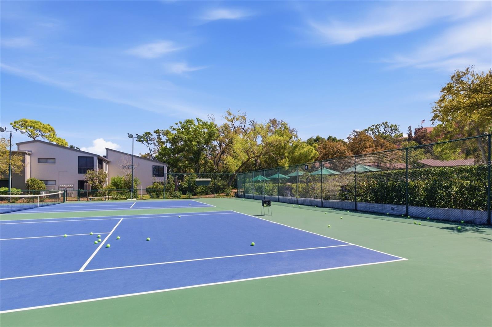 Image 30 of 44 For 1628 Clower Creek Drive 225