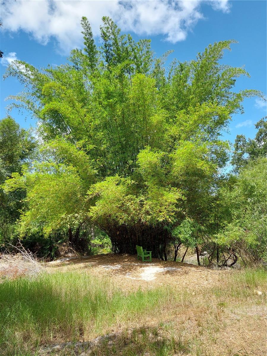 Image 6 of 18 For 7062 Crooked Creek