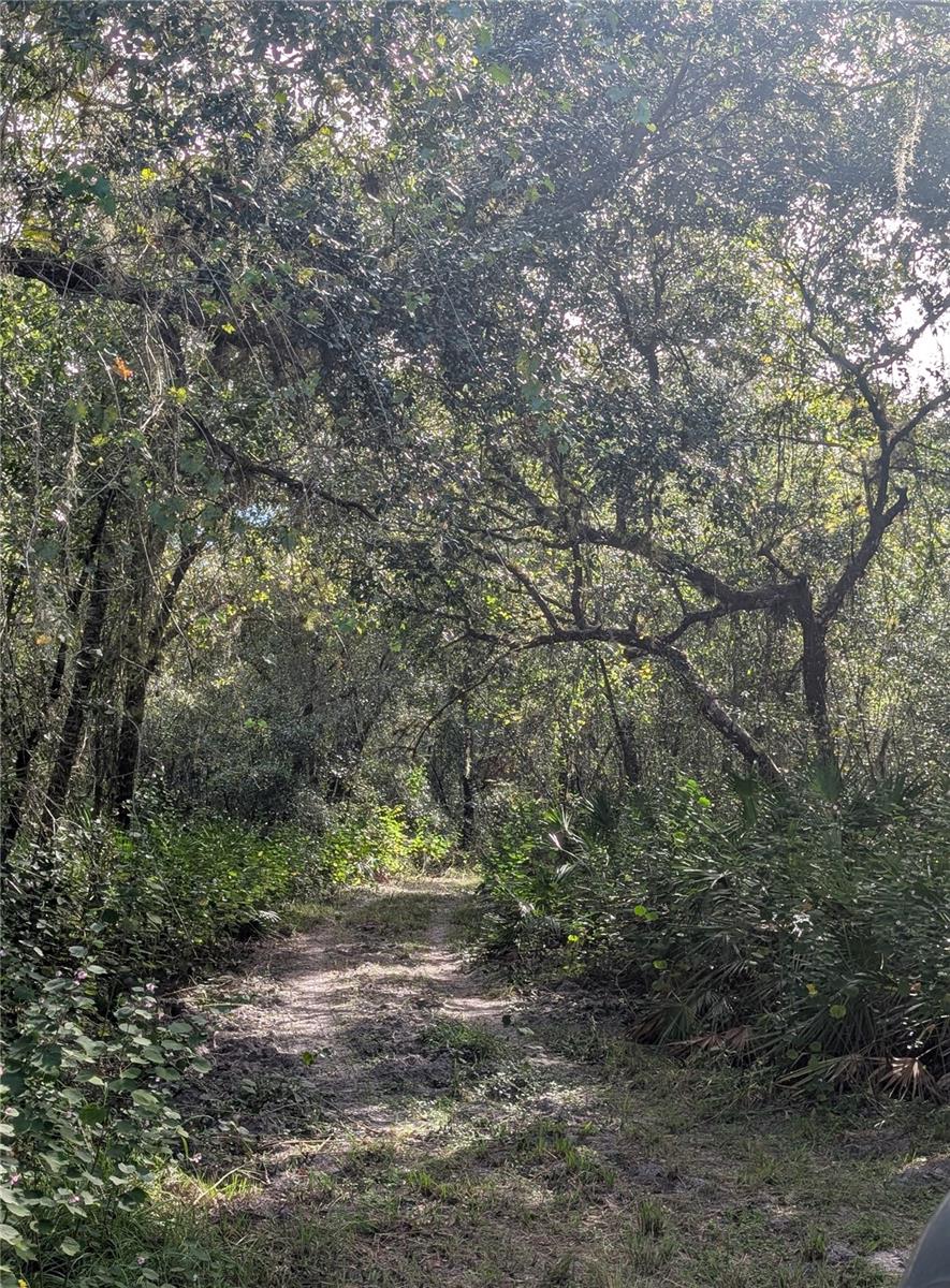 Image 9 of 18 For 7062 Crooked Creek