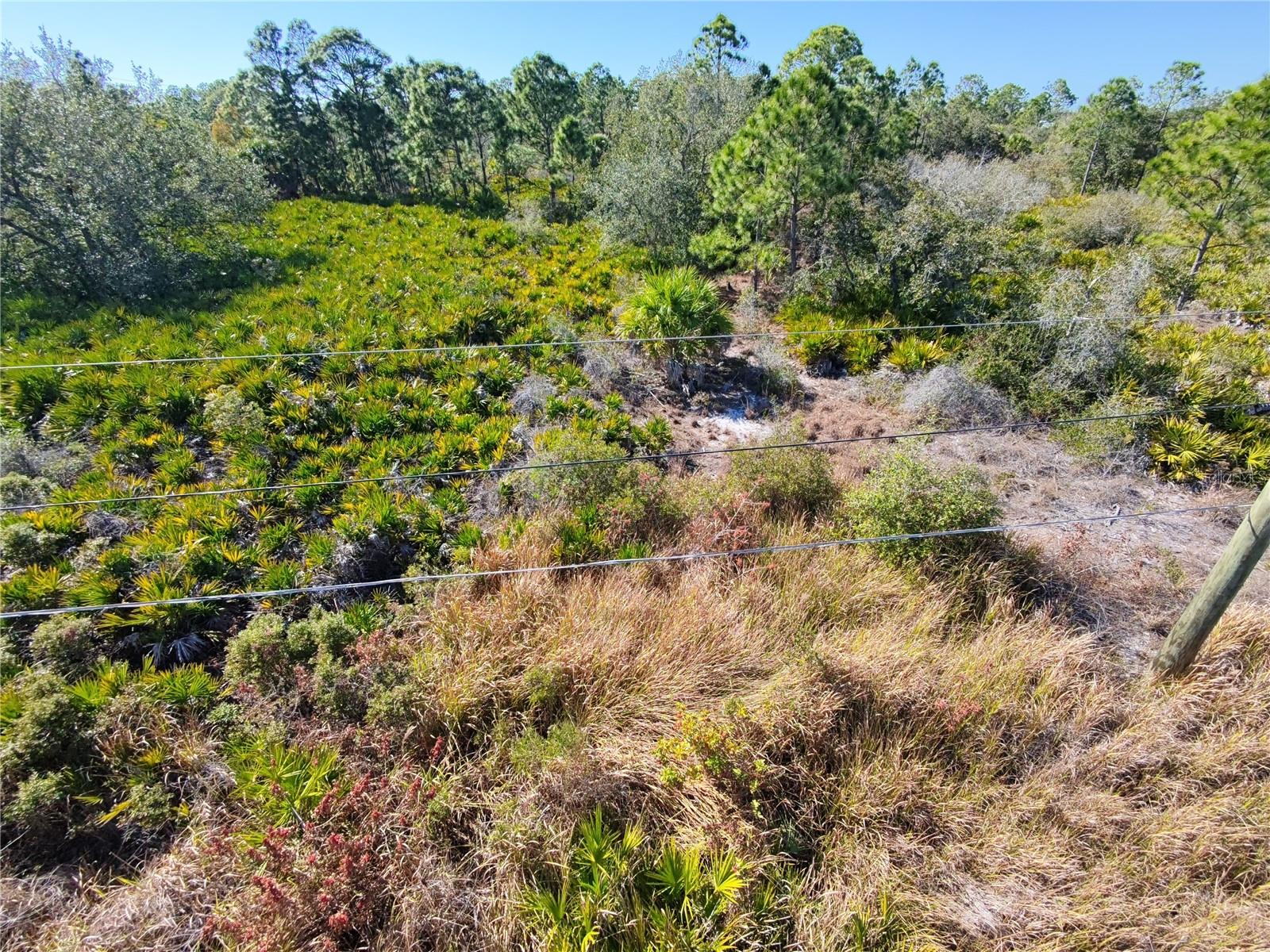 Image 3 of 5 For Address Not Provided