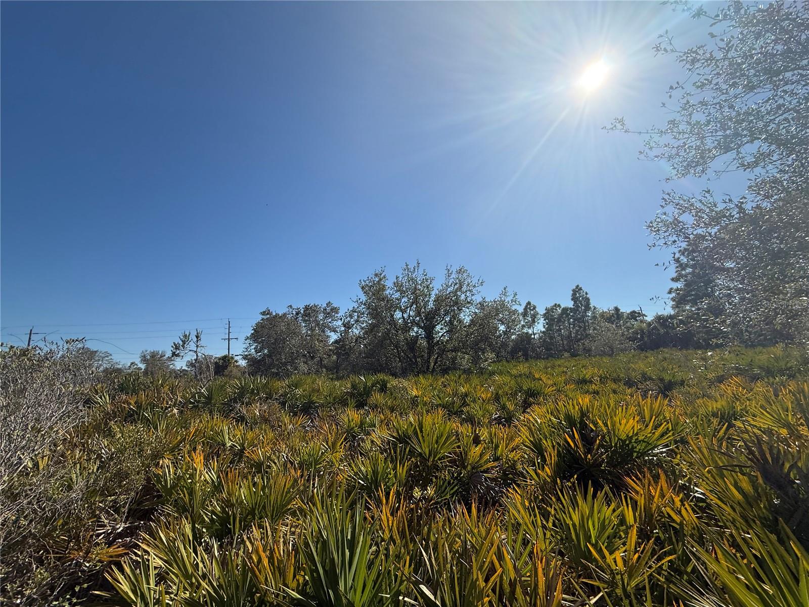 Image 4 of 5 For Address Not Provided