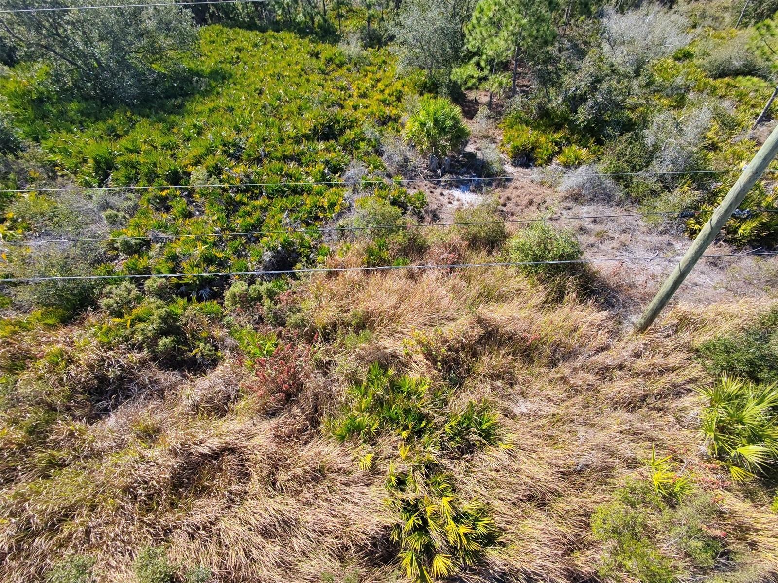 Image 5 of 5 For Address Not Provided