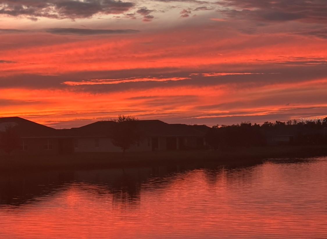 Image 50 of 62 For 25365 Lenox Circle