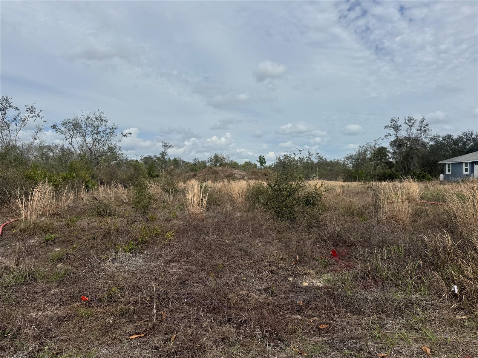 Image 4 of 5 For 8500 Aviary Road