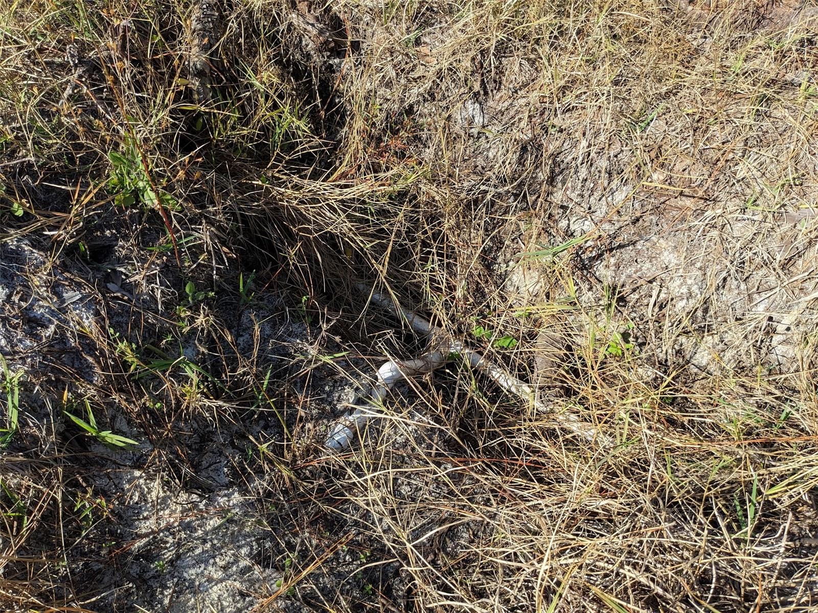 Image 11 of 50 For 4159 Sunshine Boulevard