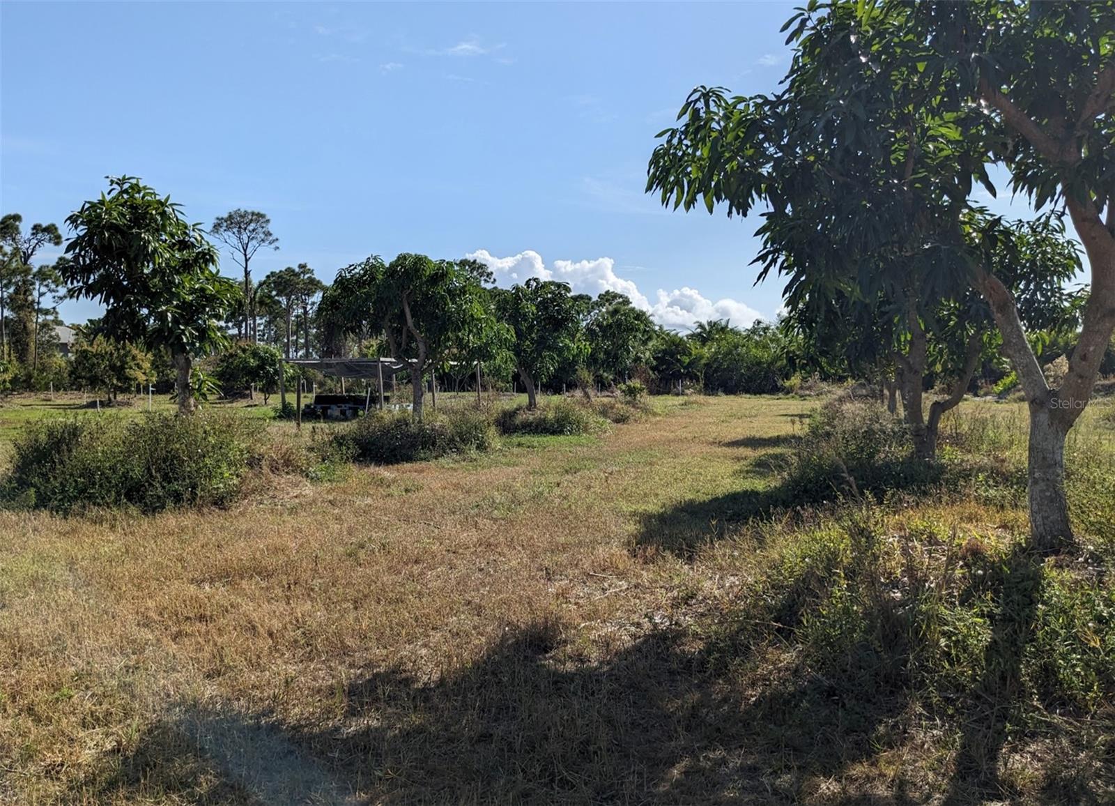 Image 12 of 50 For 4159 Sunshine Boulevard