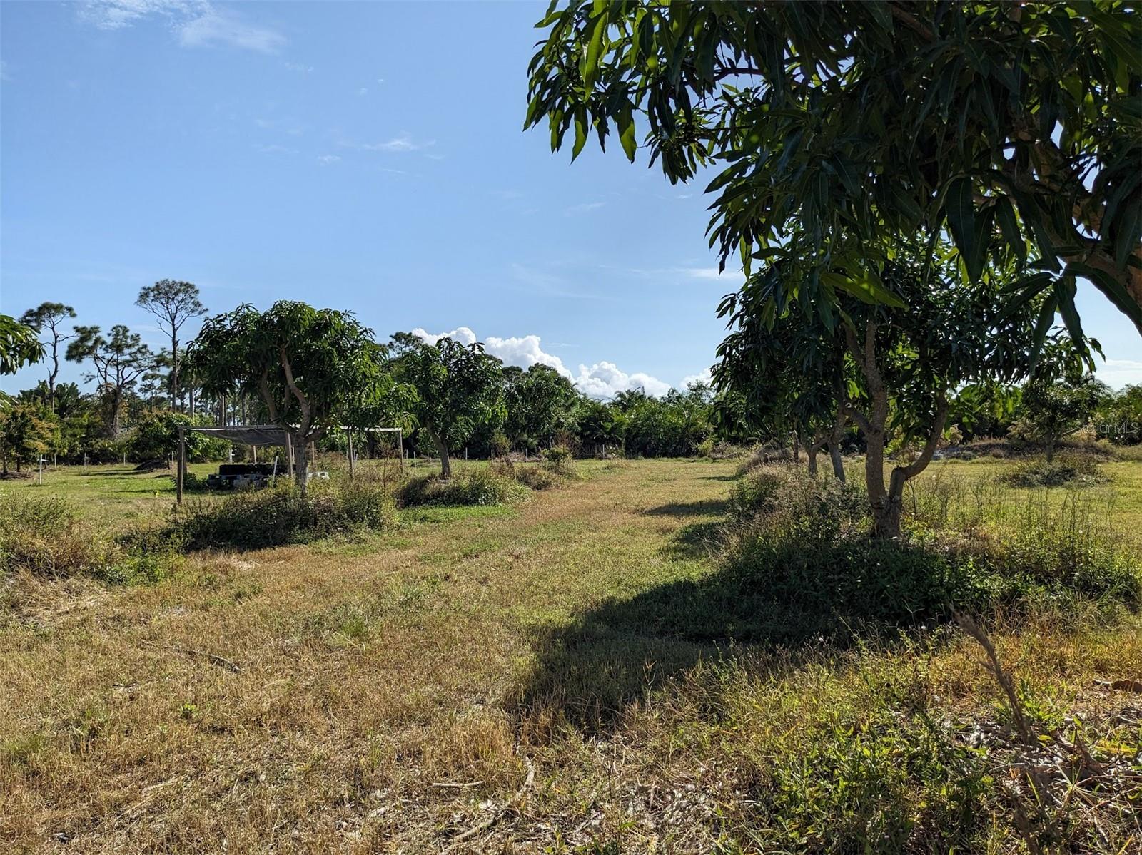 Image 13 of 50 For 4159 Sunshine Boulevard