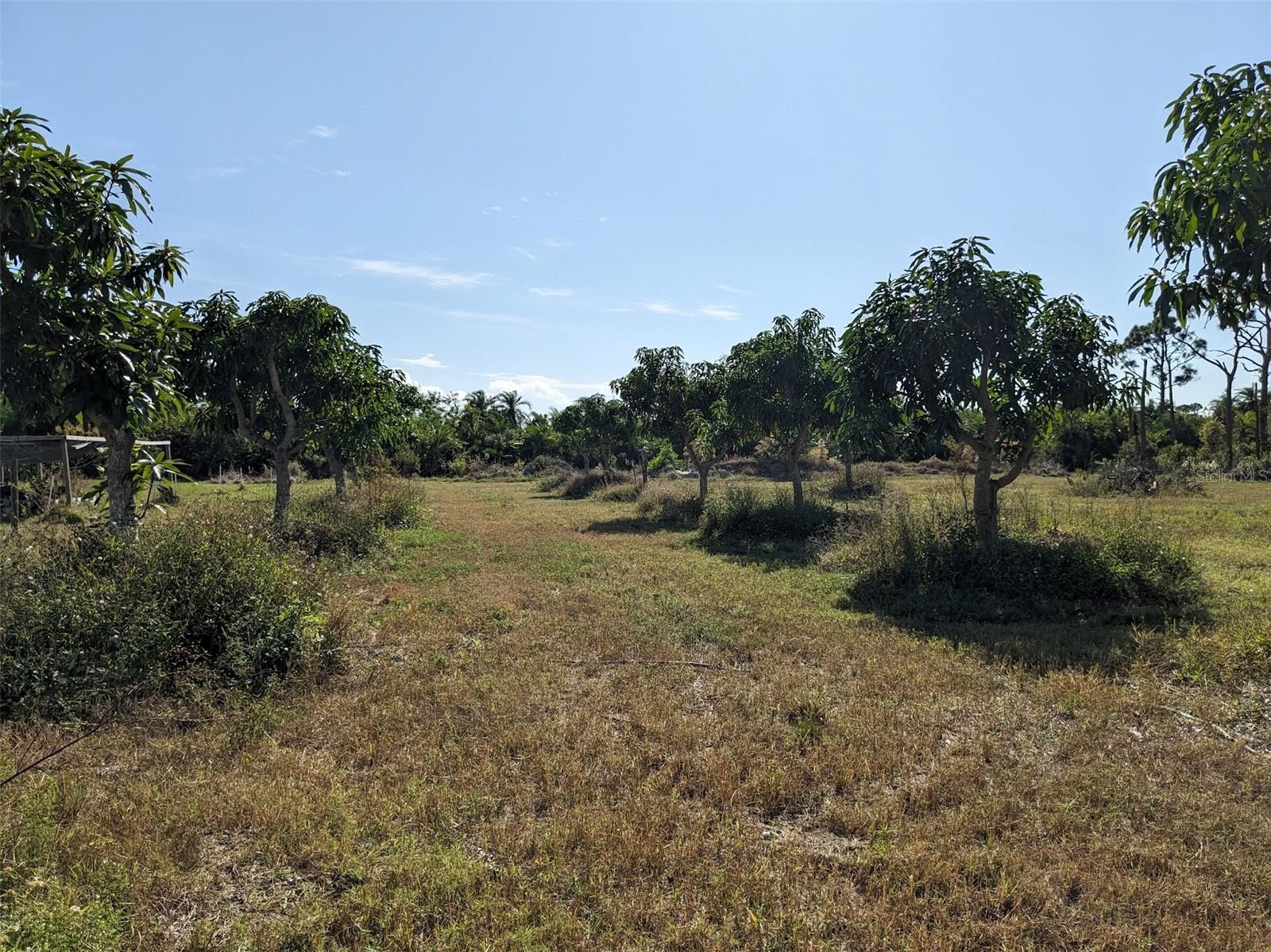 Image 14 of 50 For 4159 Sunshine Boulevard