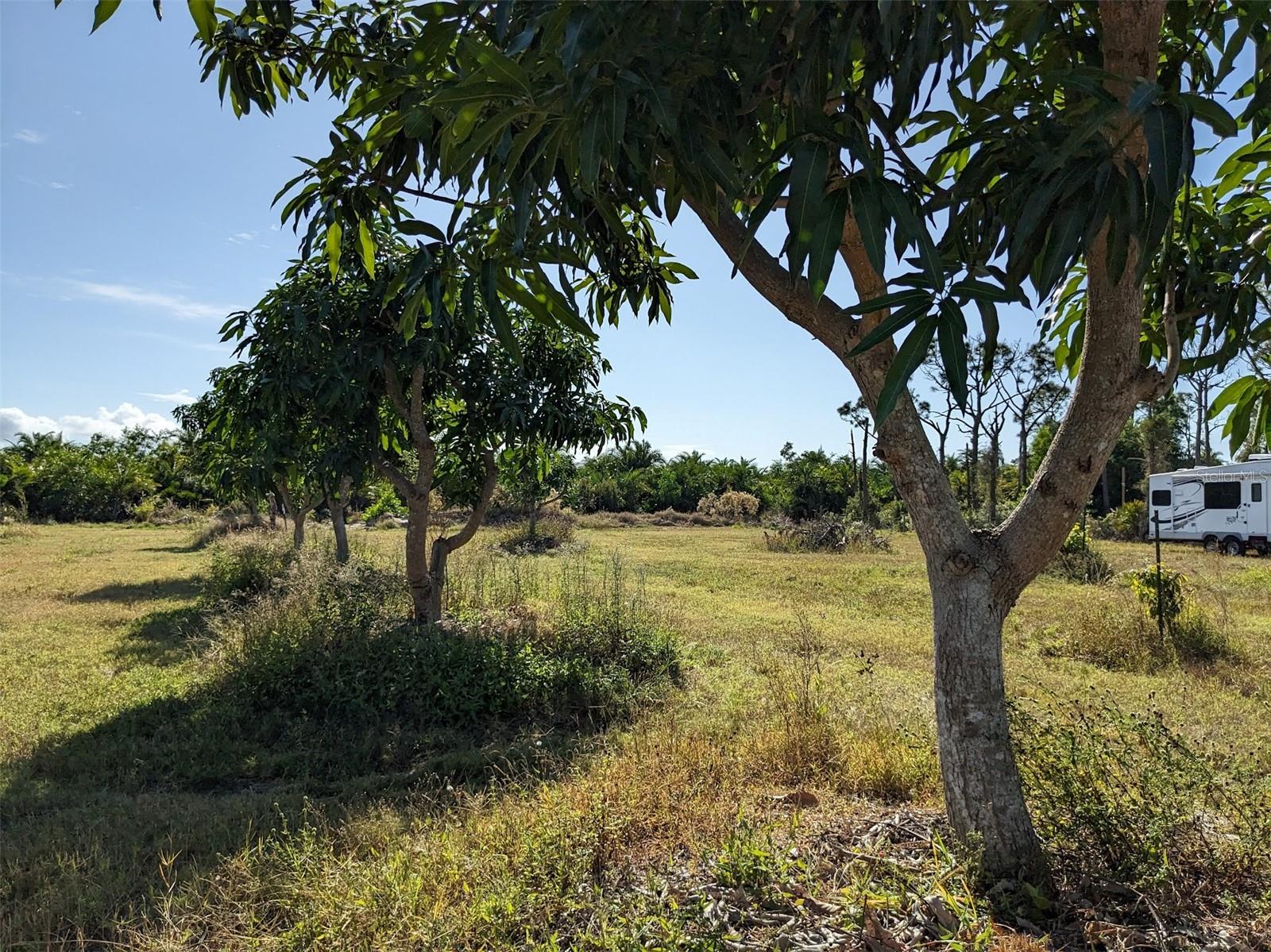 Image 15 of 50 For 4159 Sunshine Boulevard