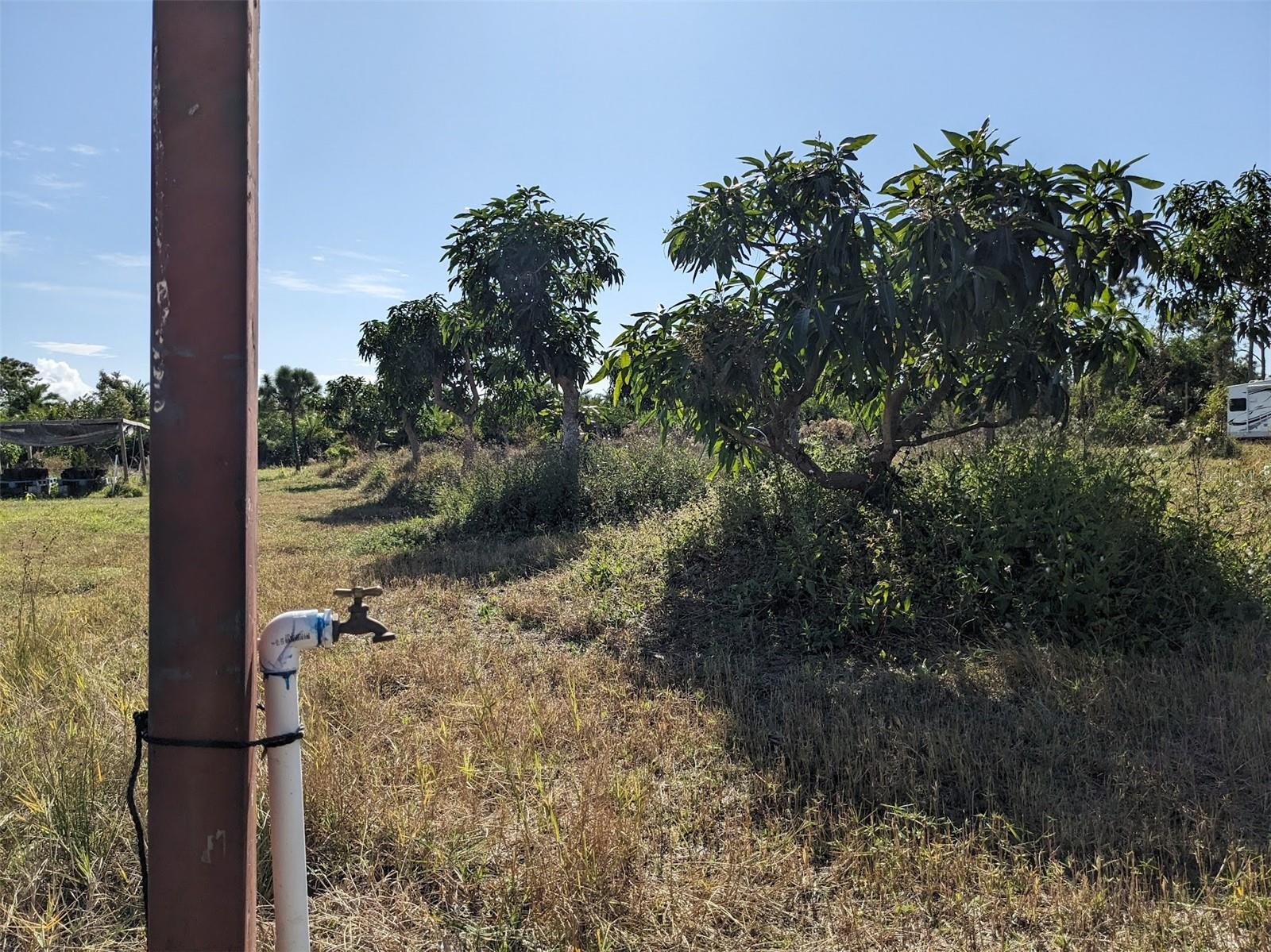 Image 16 of 50 For 4159 Sunshine Boulevard