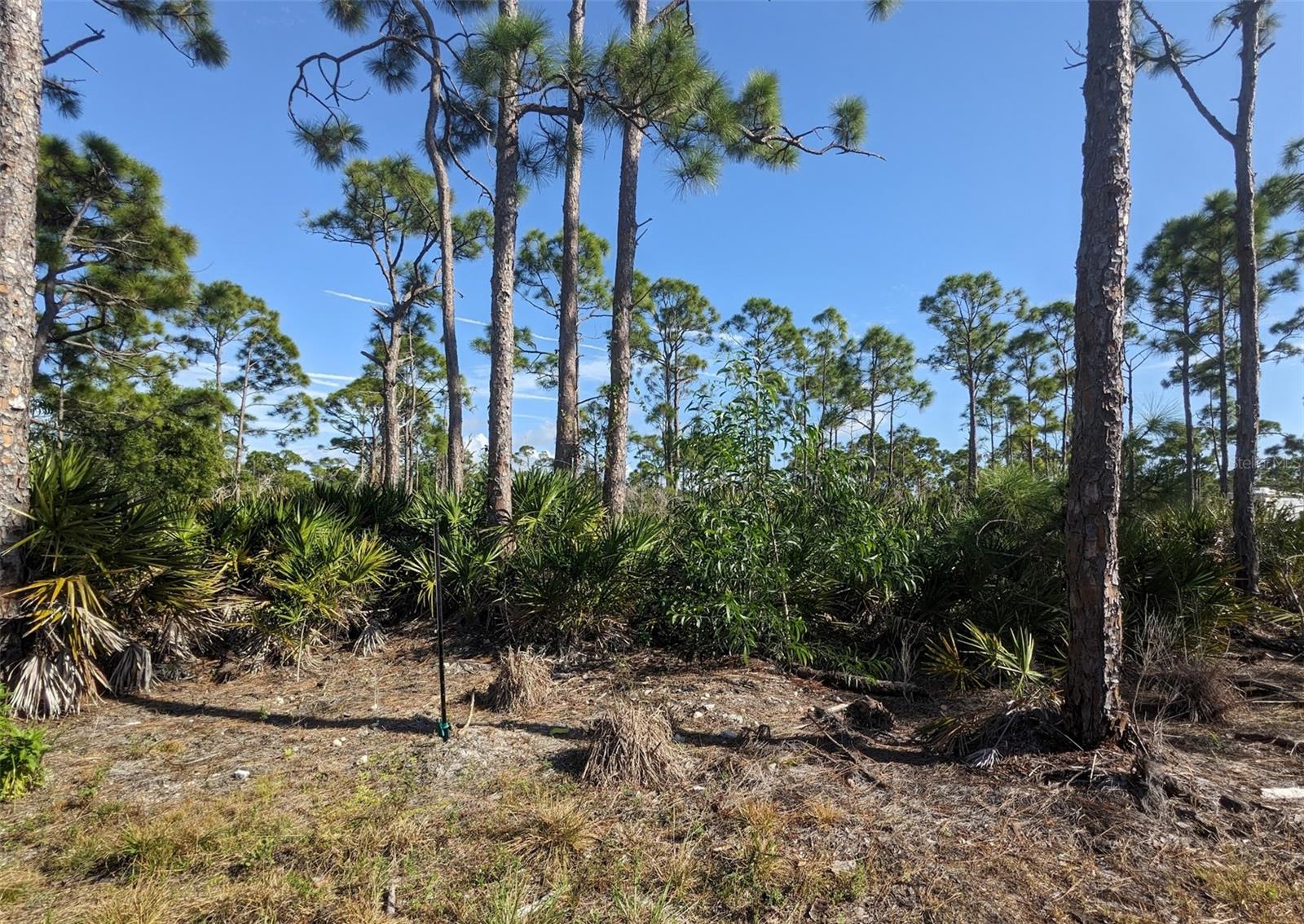 Image 3 of 50 For 4159 Sunshine Boulevard