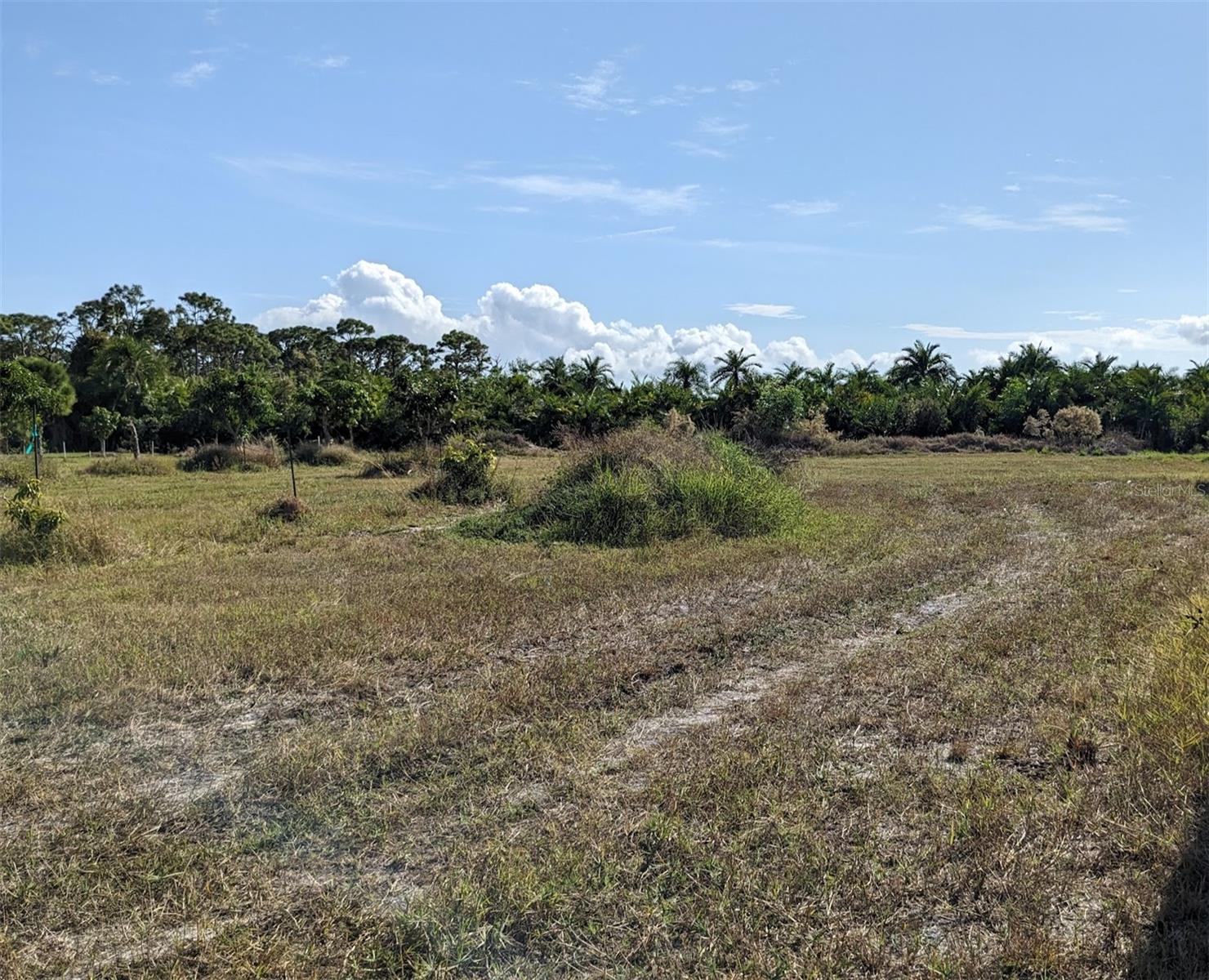 Image 4 of 50 For 4159 Sunshine Boulevard