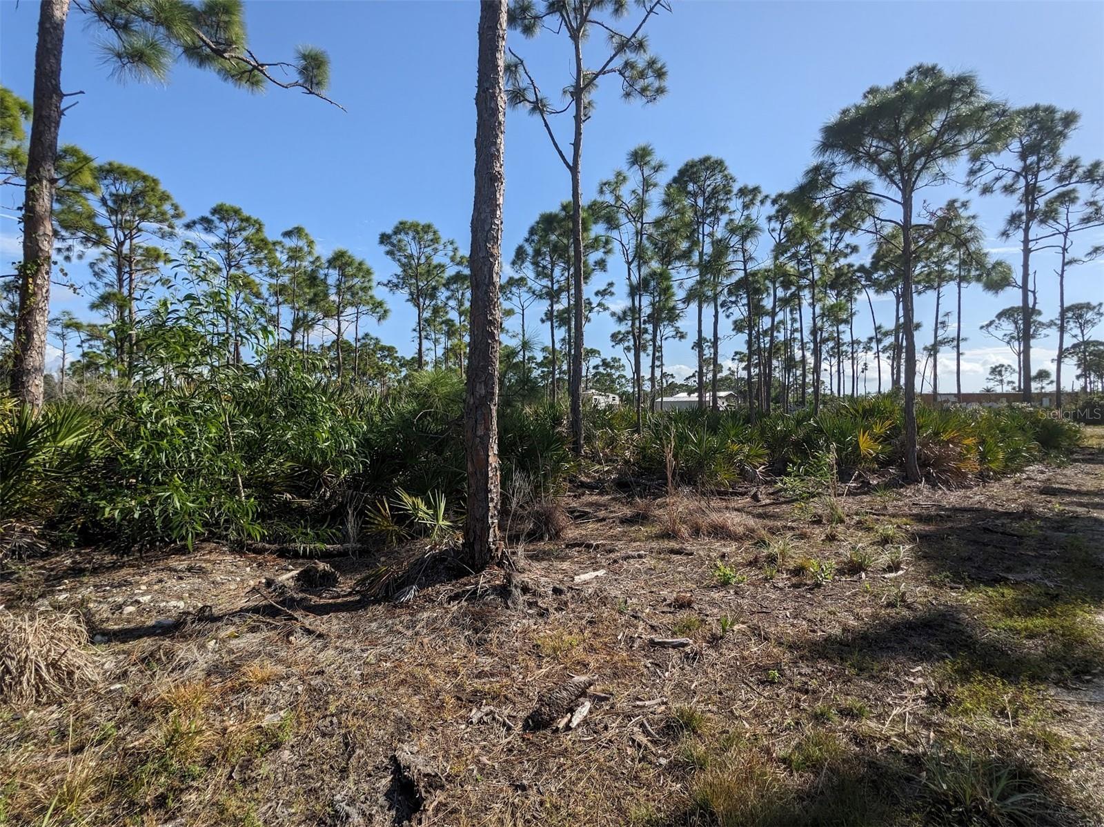 Image 6 of 50 For 4159 Sunshine Boulevard