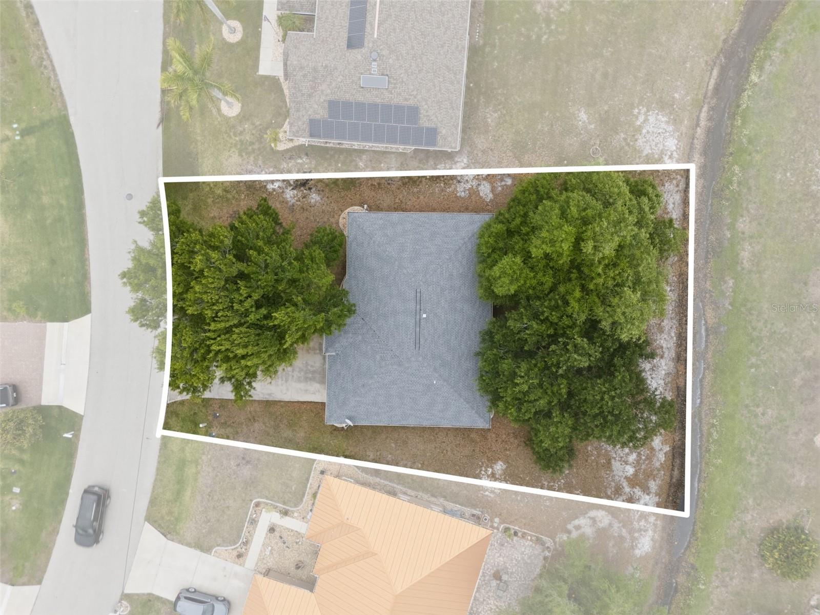 Image 20 of 25 For 7510 Ligustrum