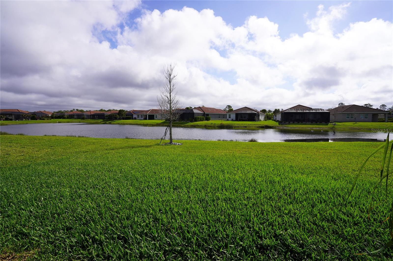 Image 8 of 100 For 286 Daylily Boulevard