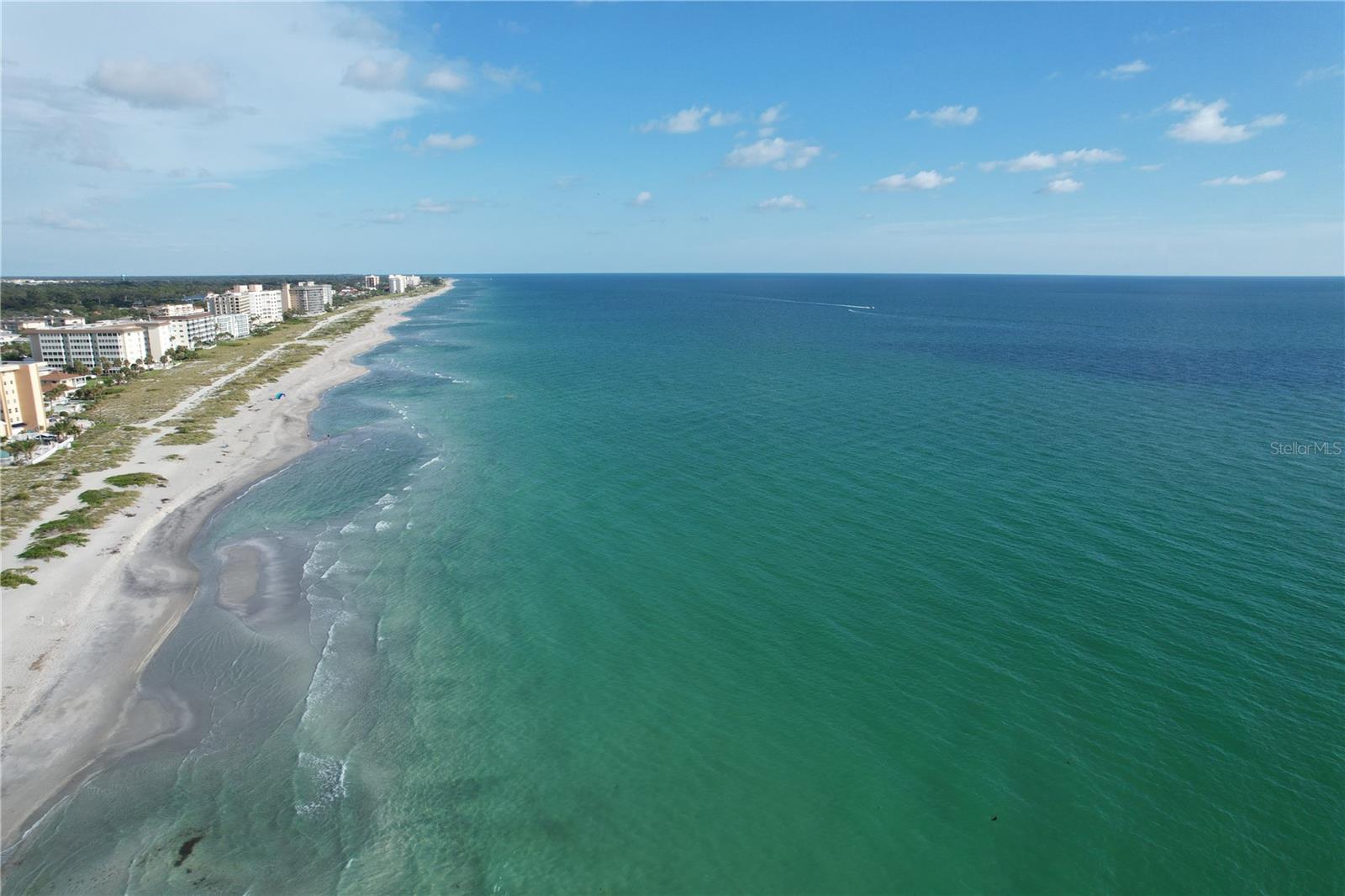 Image 81 of 100 For 286 Daylily Boulevard