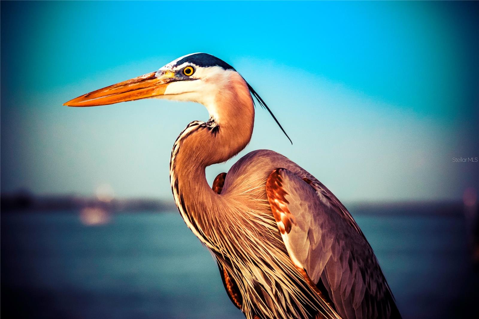 Image 48 of 50 For 1500 Park Beach Circle 5g