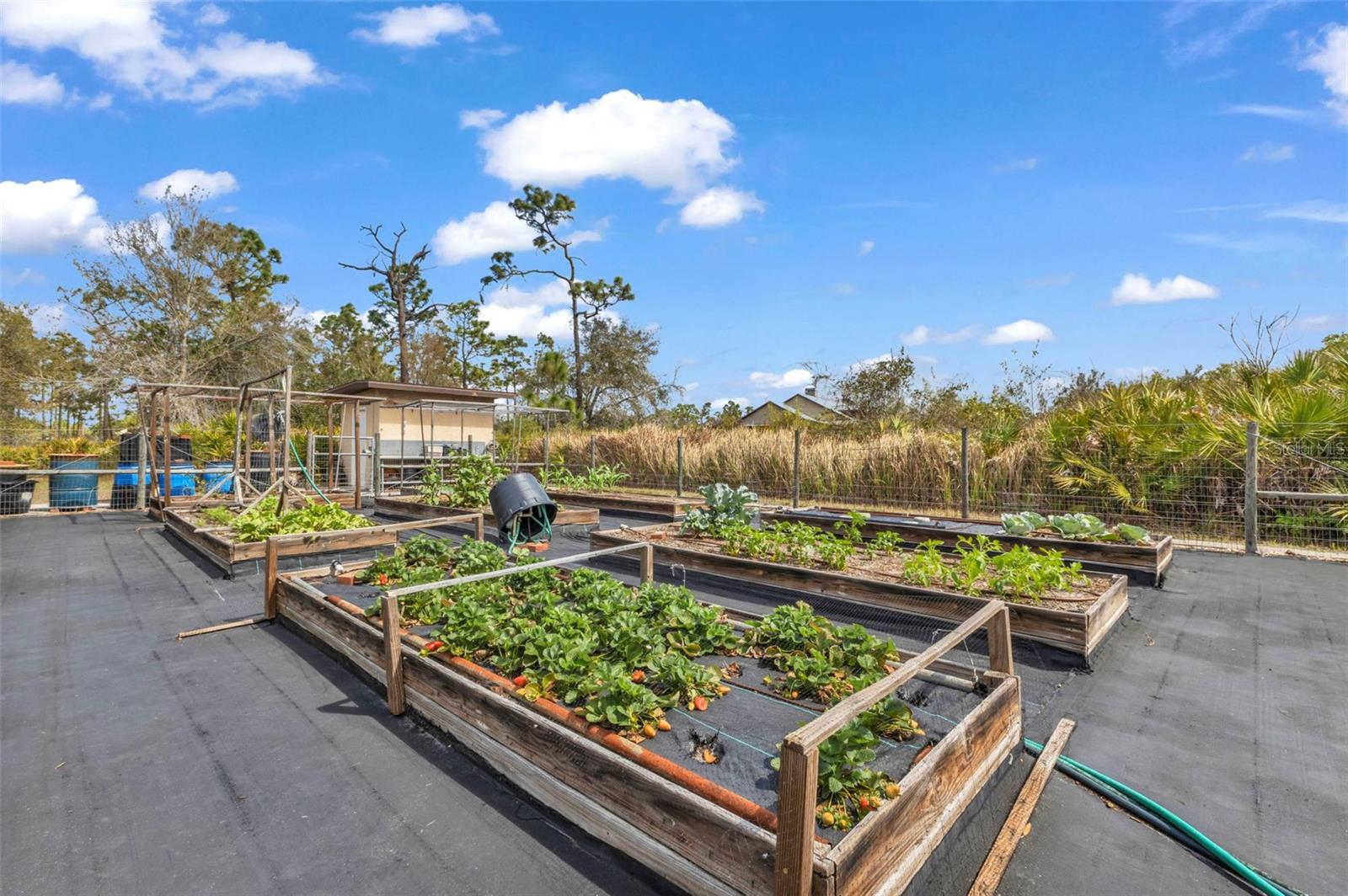 Image 49 of 65 For 29350 Sam Way