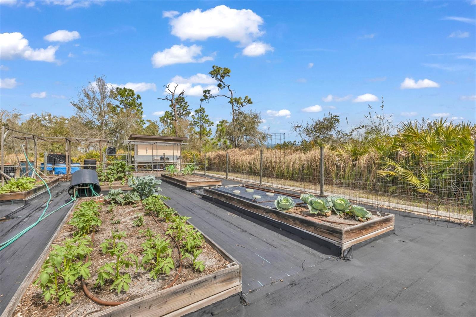 Image 50 of 65 For 29350 Sam Way