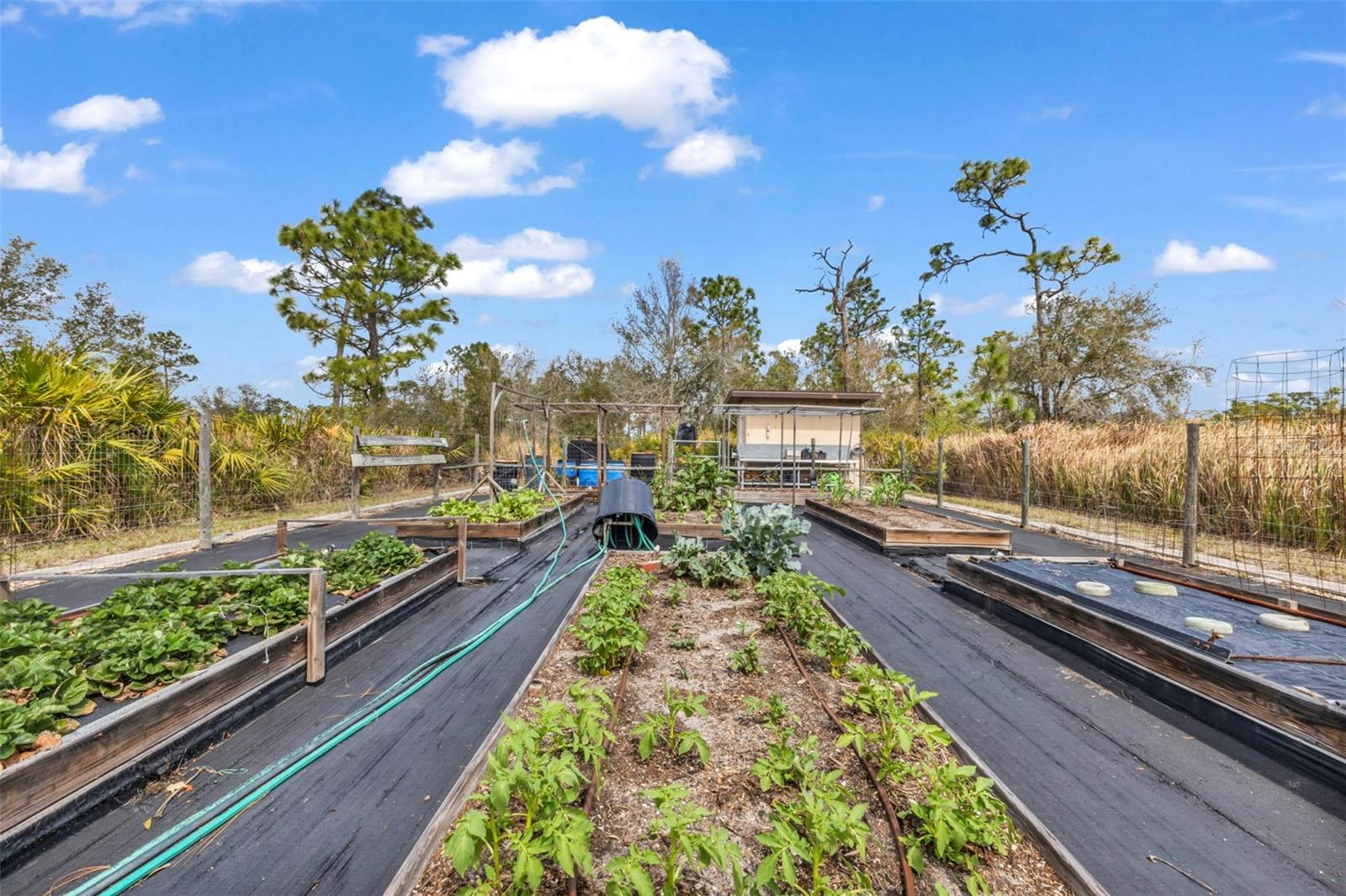 Image 51 of 65 For 29350 Sam Way