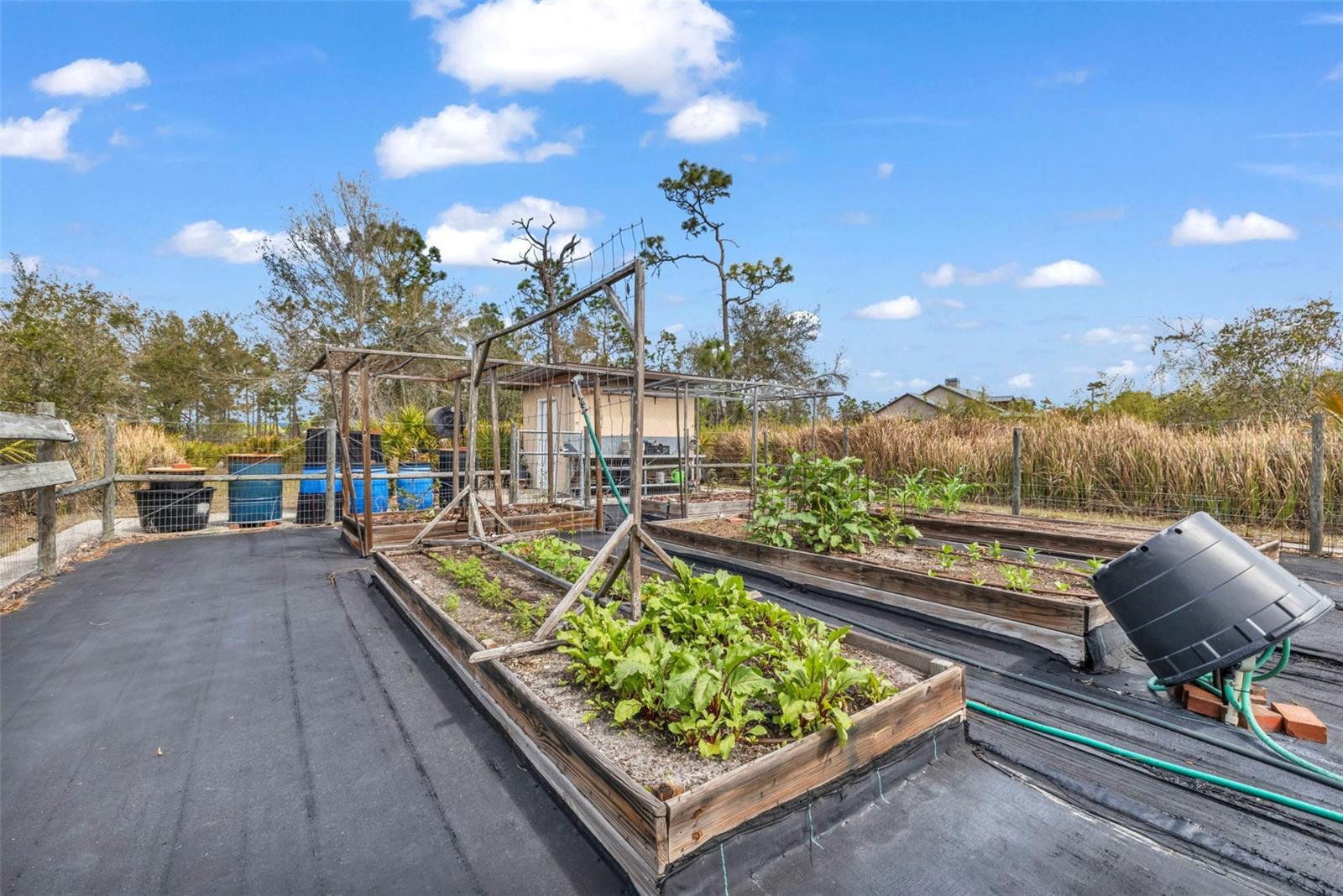 Image 52 of 65 For 29350 Sam Way