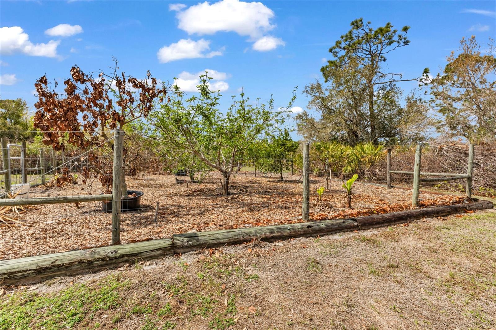 Image 54 of 65 For 29350 Sam Way