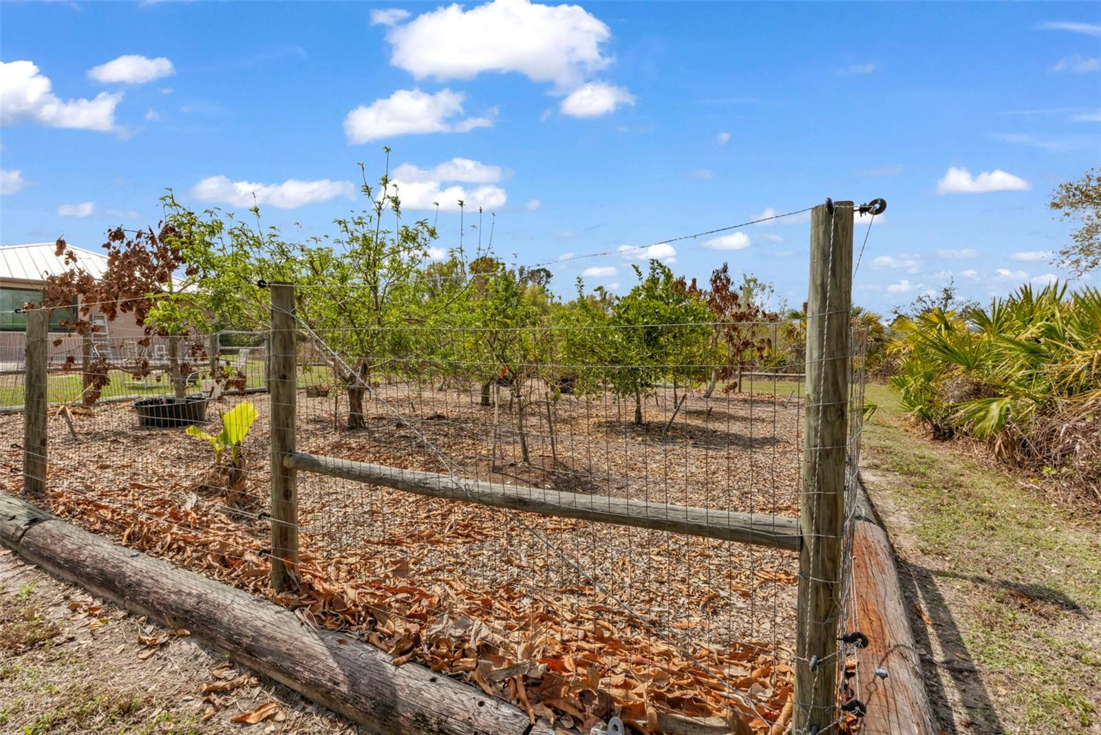 Image 55 of 65 For 29350 Sam Way