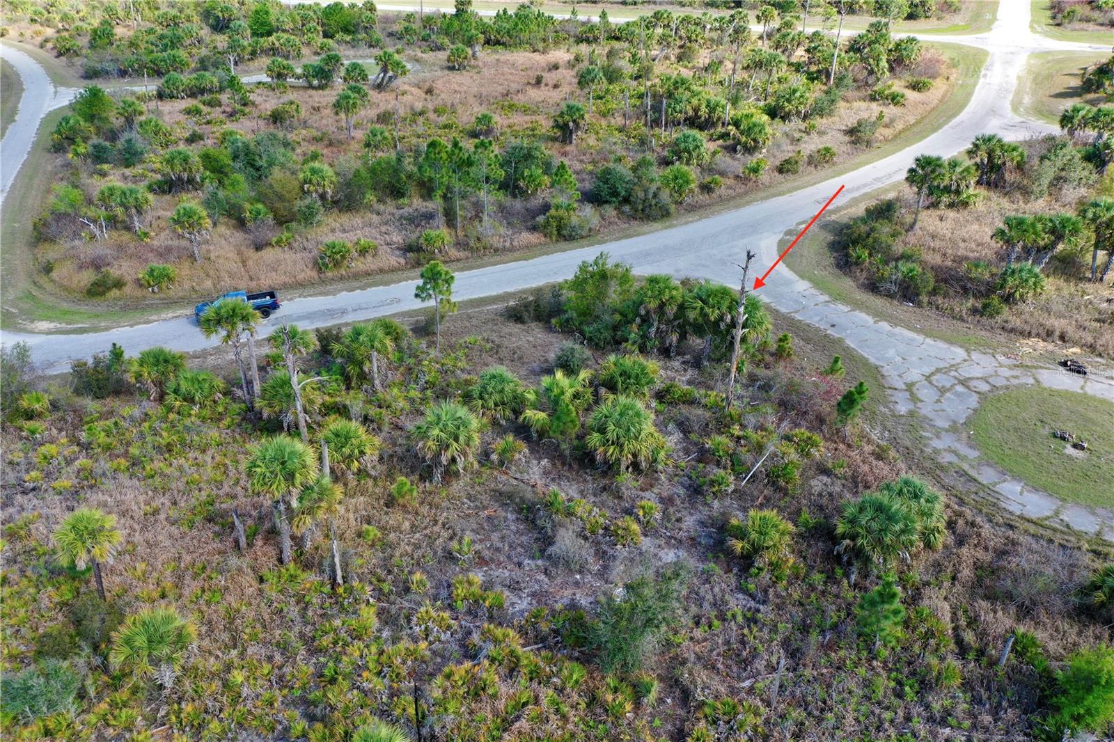 Image 10 of 13 For  Wild Court 