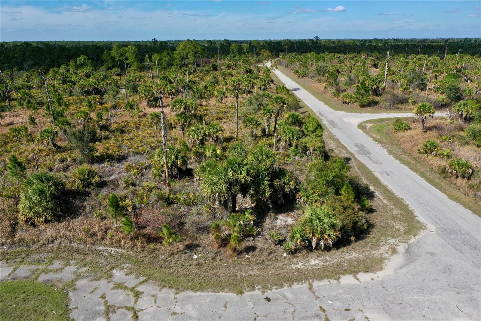 Image 11 of 13 For  Wild Court 