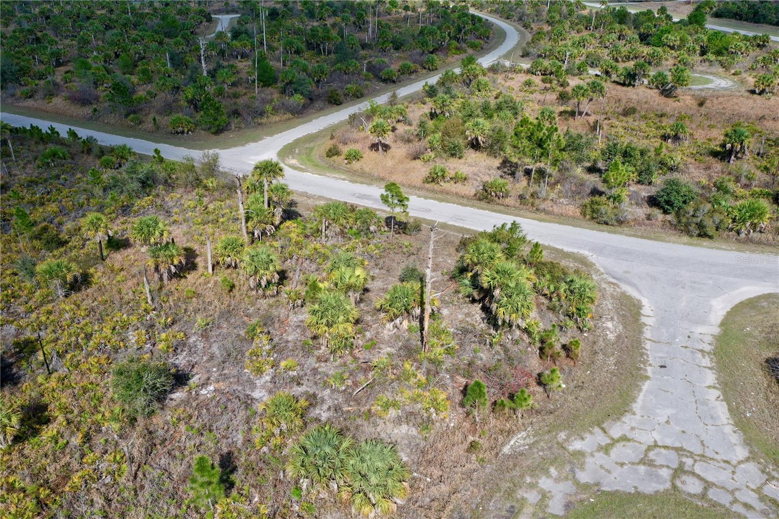 Image 12 of 13 For  Wild Court 