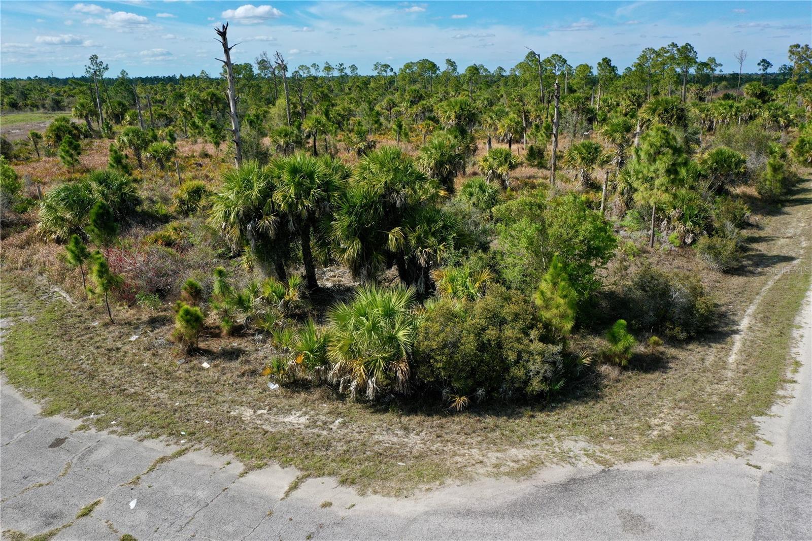 Image 13 of 13 For  Wild Court 