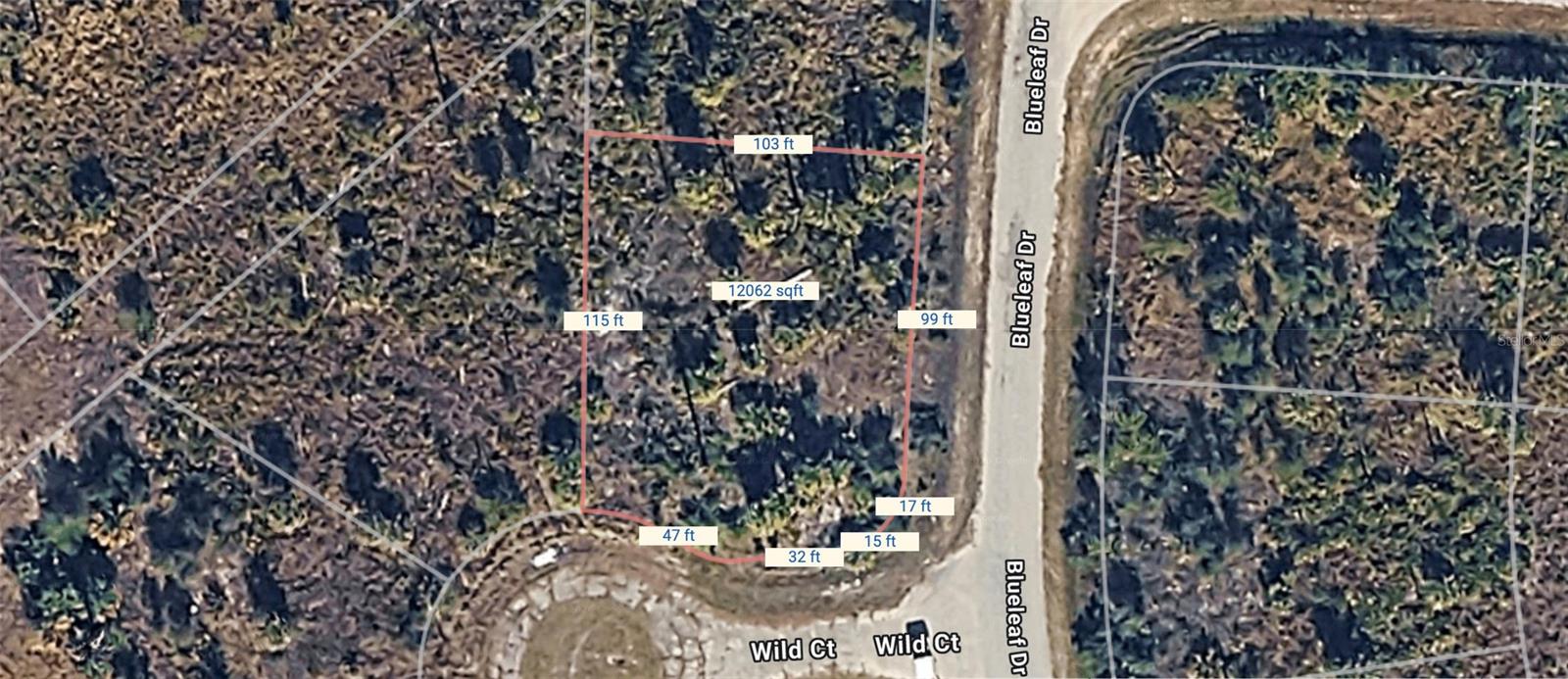 Image 4 of 13 For  Wild Court 