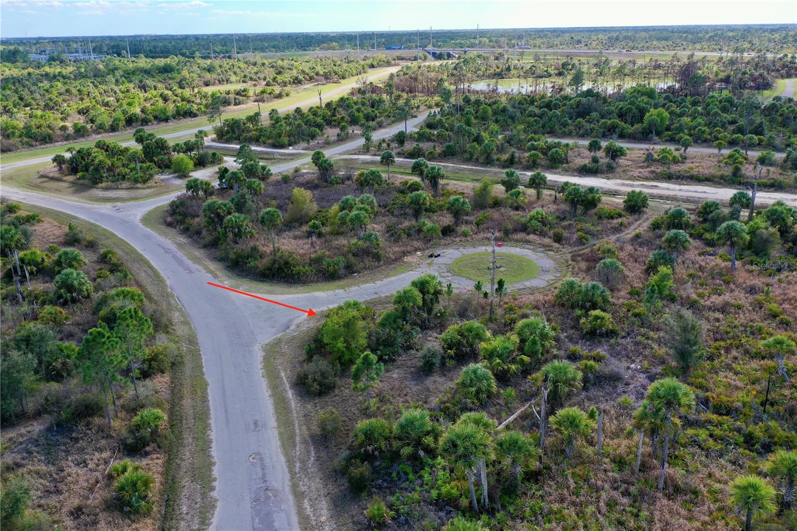 Image 8 of 13 For  Wild Court 