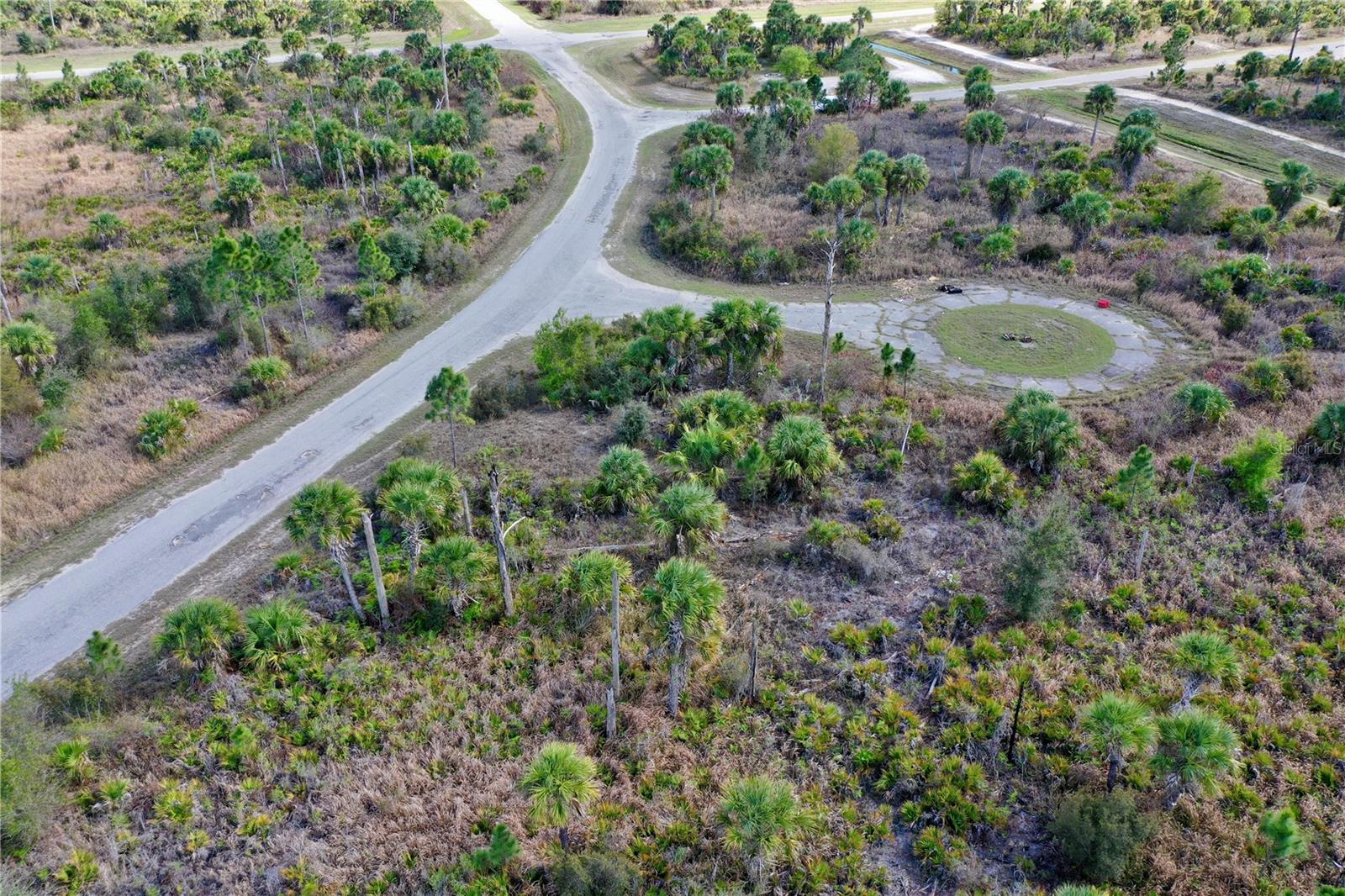 Image 9 of 13 For  Wild Court 